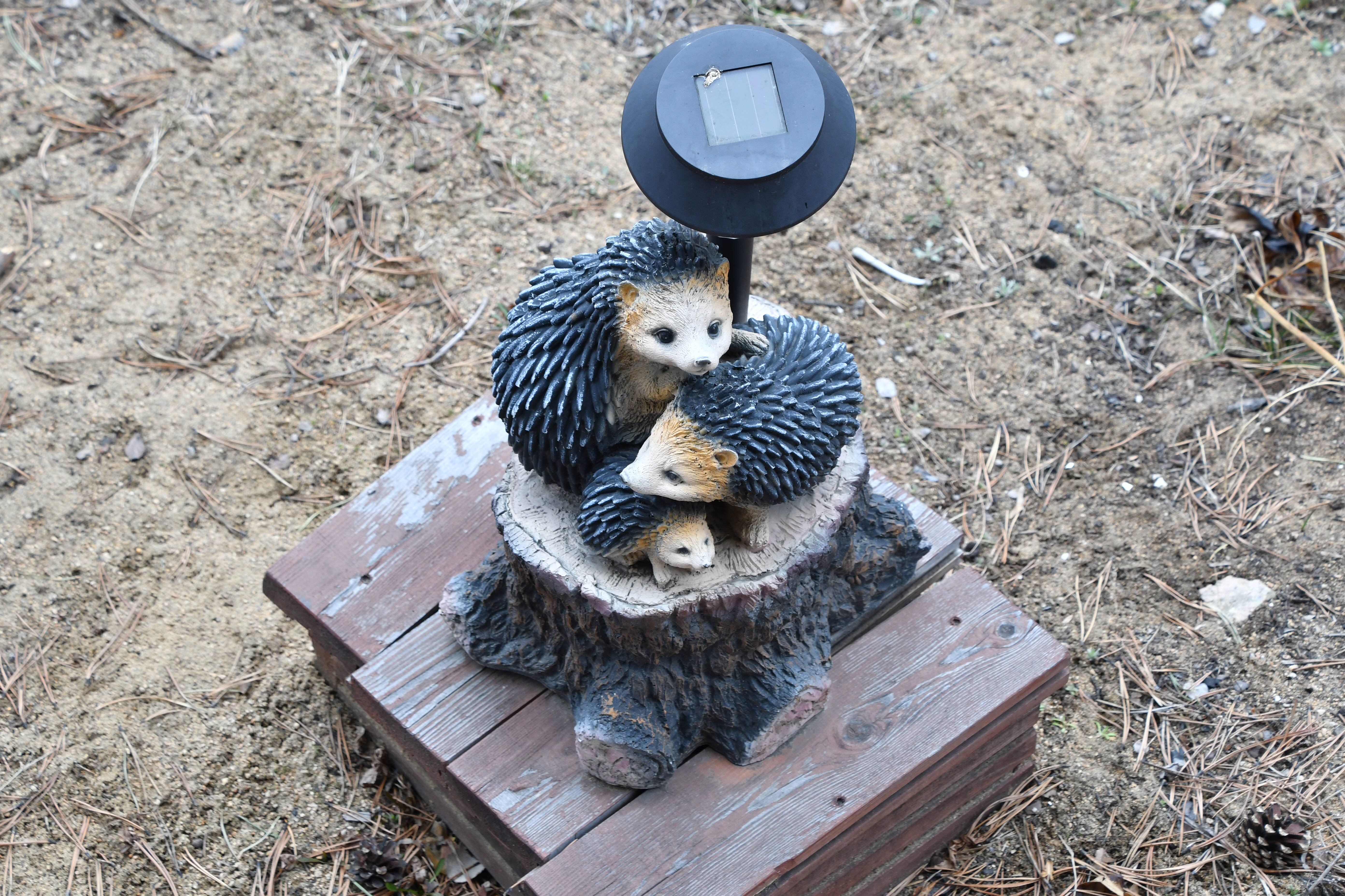 Фото Синдбад