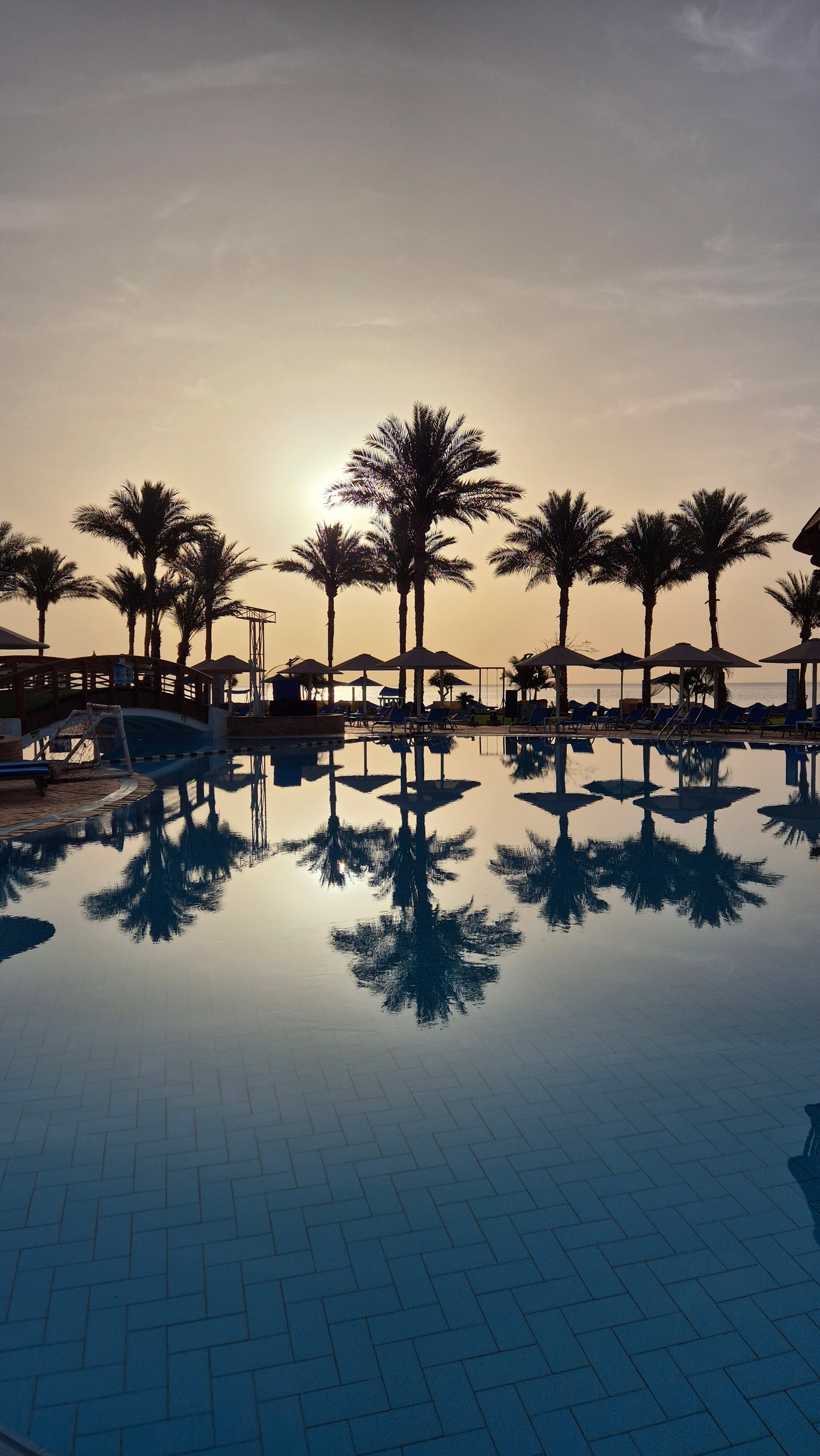 Фото Pickalbatros Royal Grand Resort