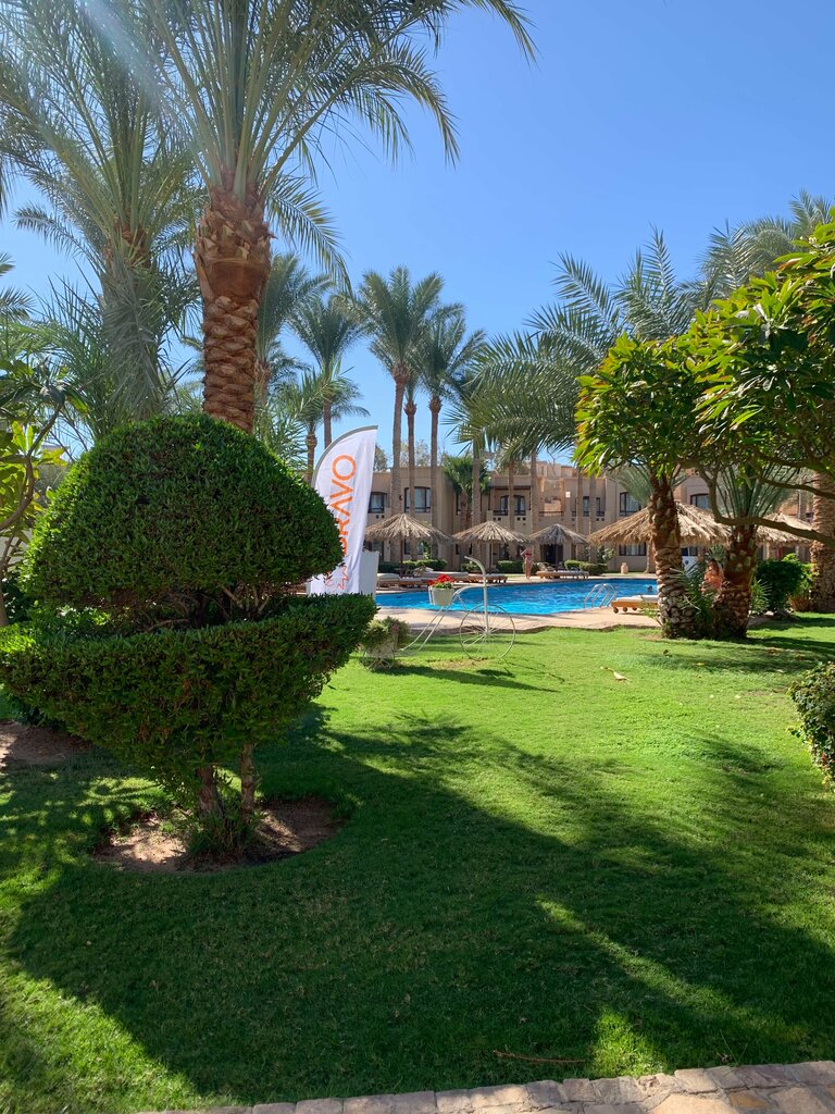 فندق فندق هوزا بيتش ريزورت ، شرم الشيخ، صورة