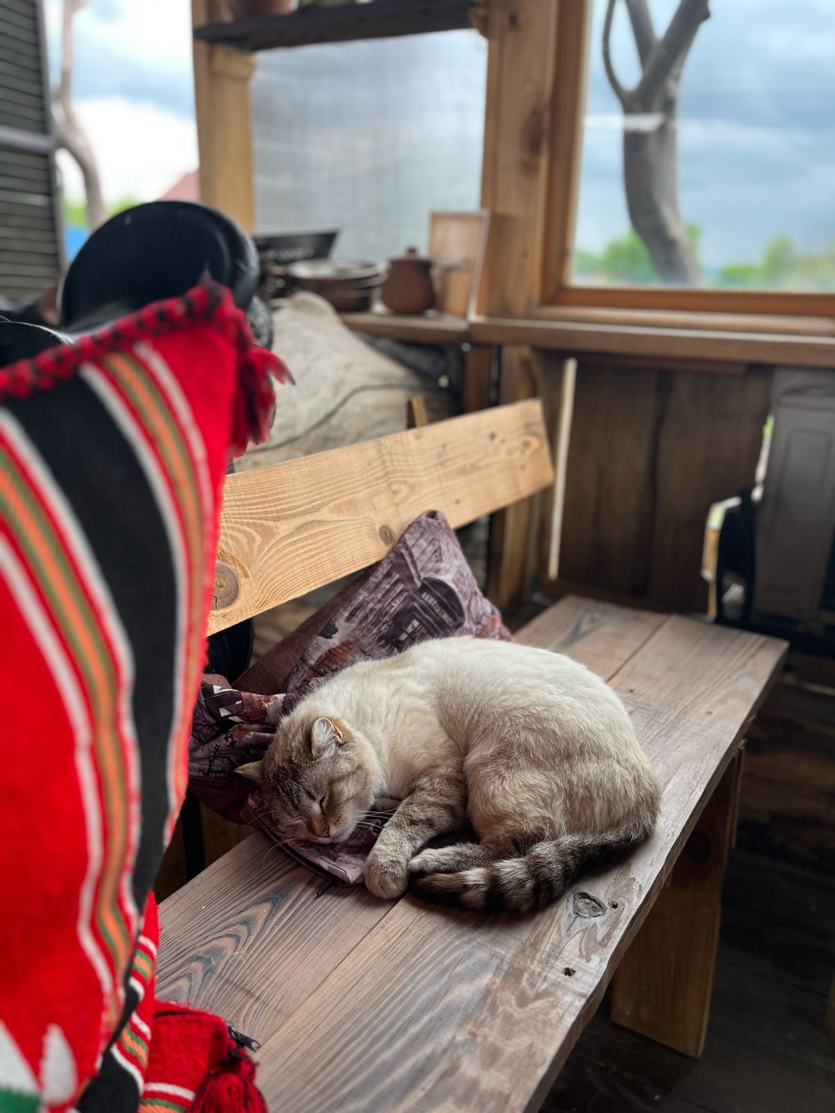 Фото Башкирская коза