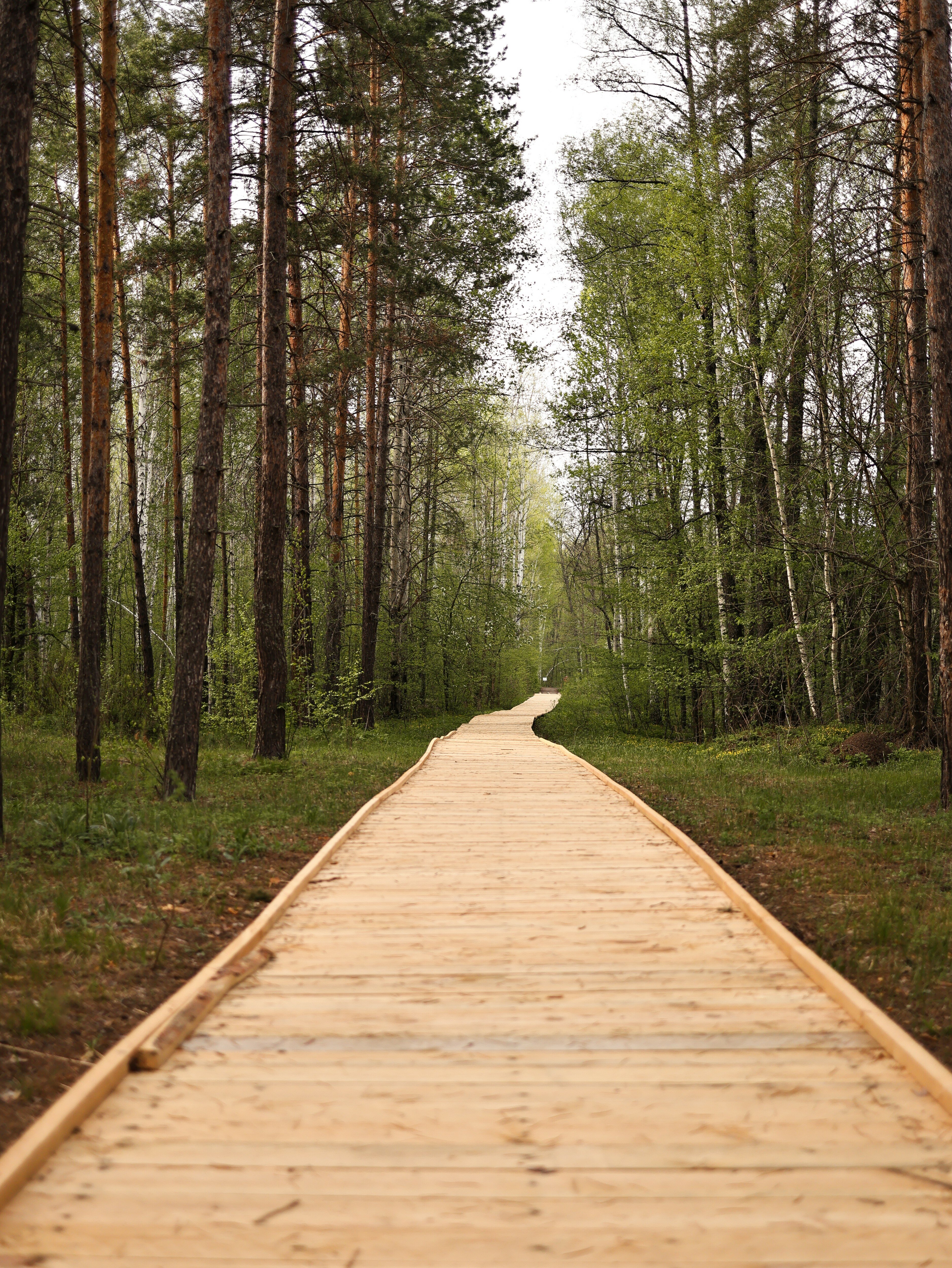 Фото Домвбору. ру