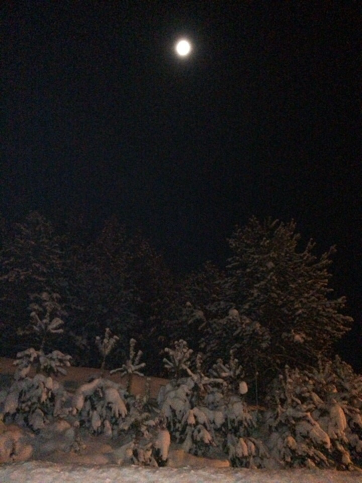 Фото Загородный клуб Свияга