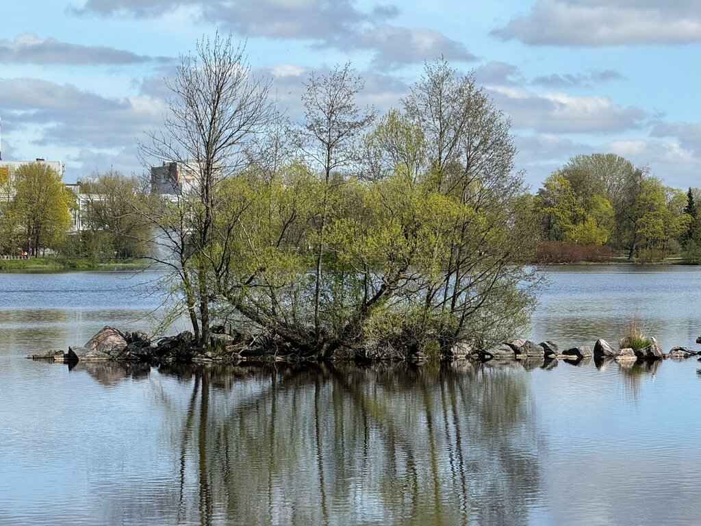 Landmark, attraction Ряжево-земляная плотина Дестрема, Sestroretsk, photo