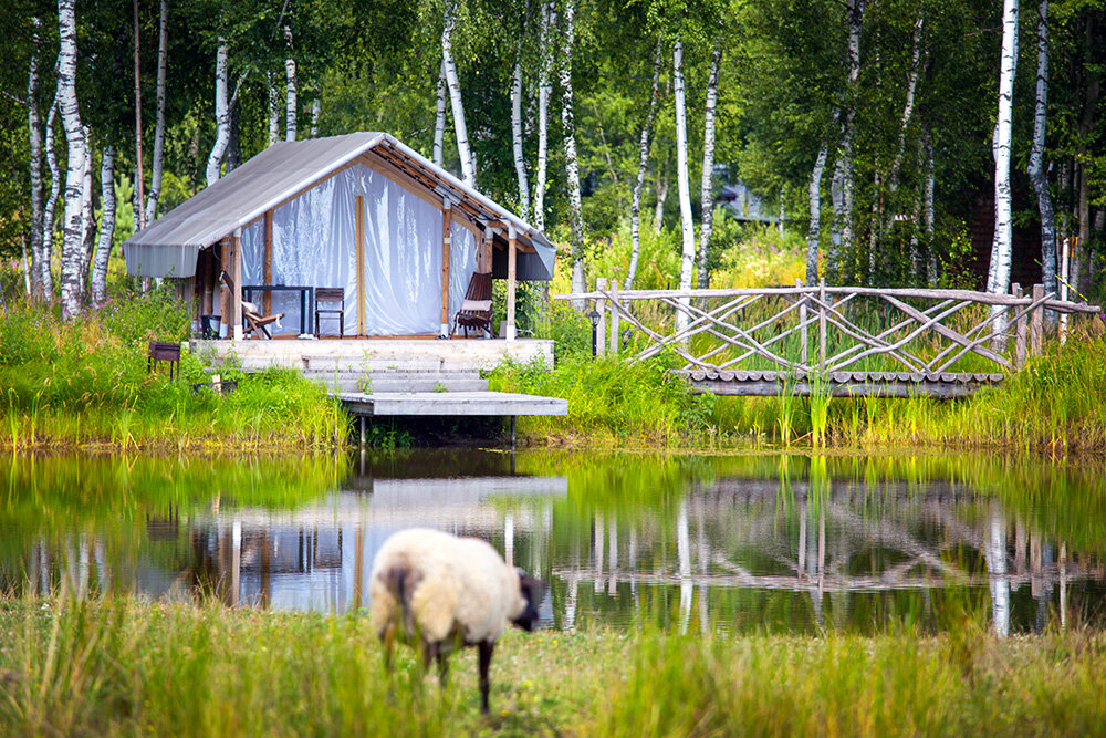 Фото Легенды леса
