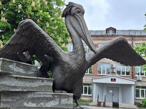 Пеликаны (Ryazan, Lenina Street), genre sculpture