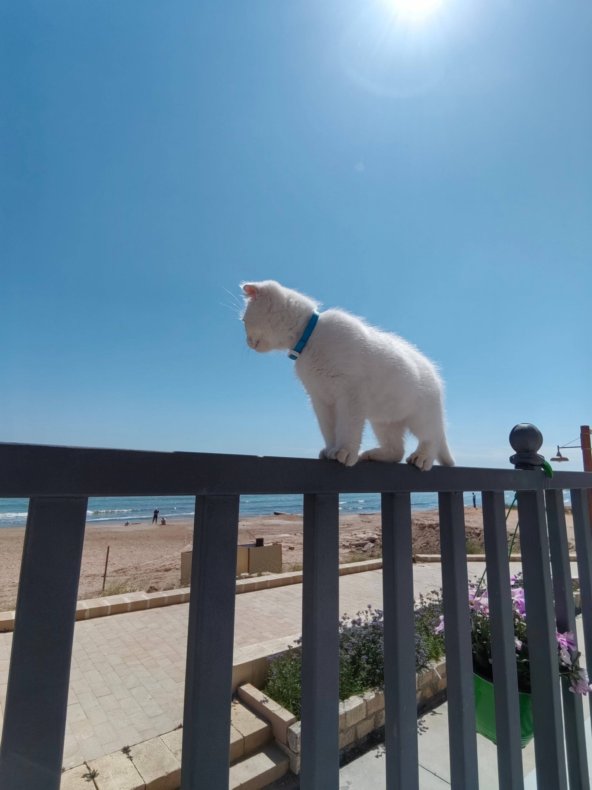 Фото TS Дербент