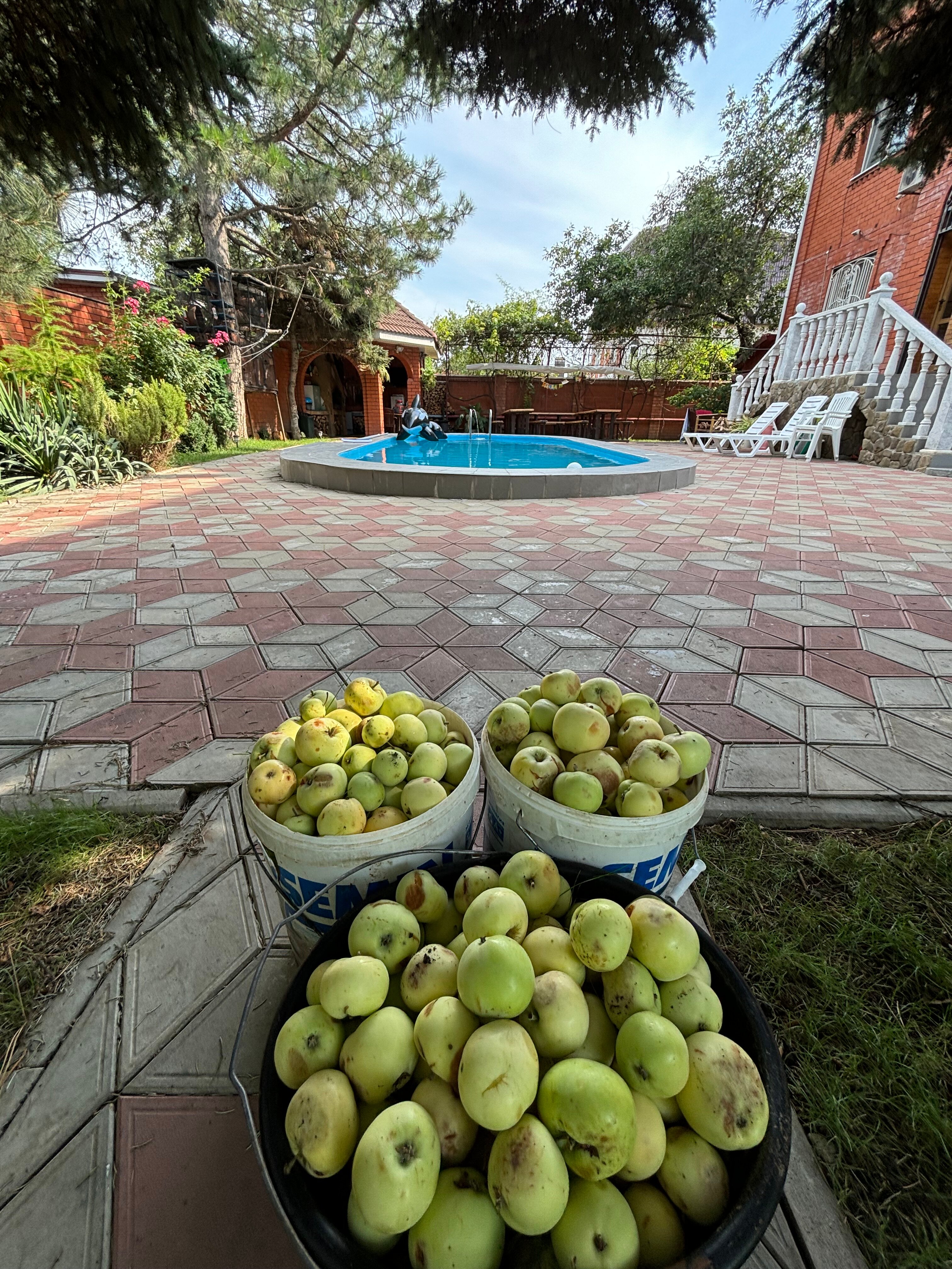 Фото Усадьба Новознаменская