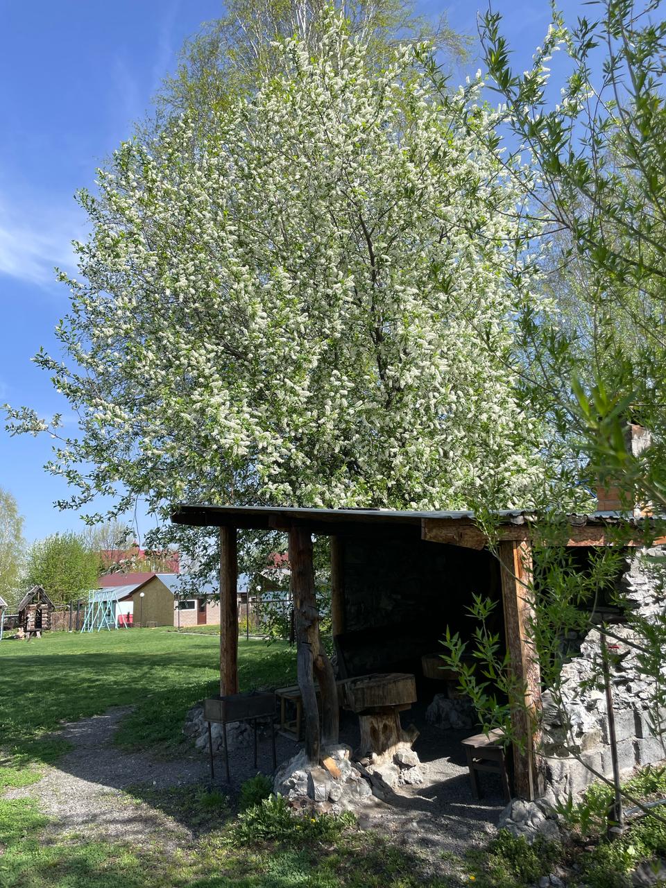 Фото На Радужном берегу