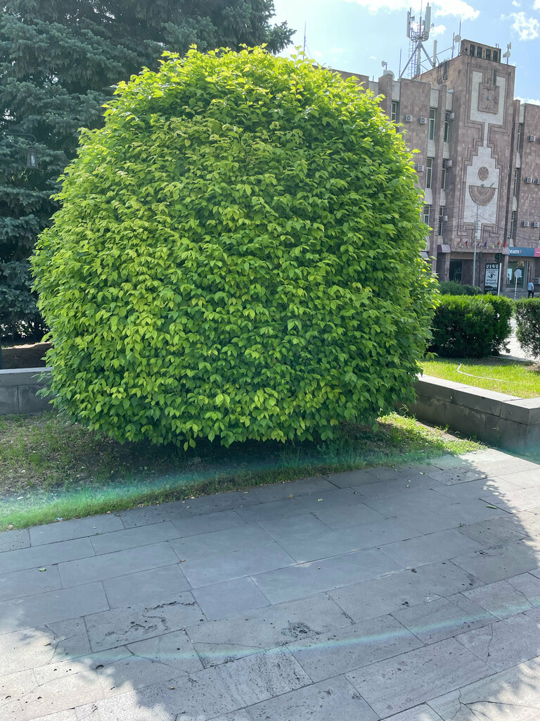 Landmark, attraction Komitas monument, Vagharshapat, photo