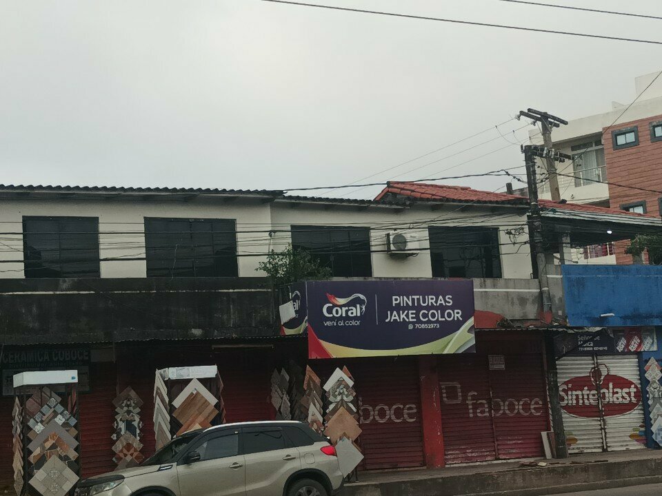 Household goods and chemicals shop Pinturas Jake Color, Santa Cruz de la Sierra, photo