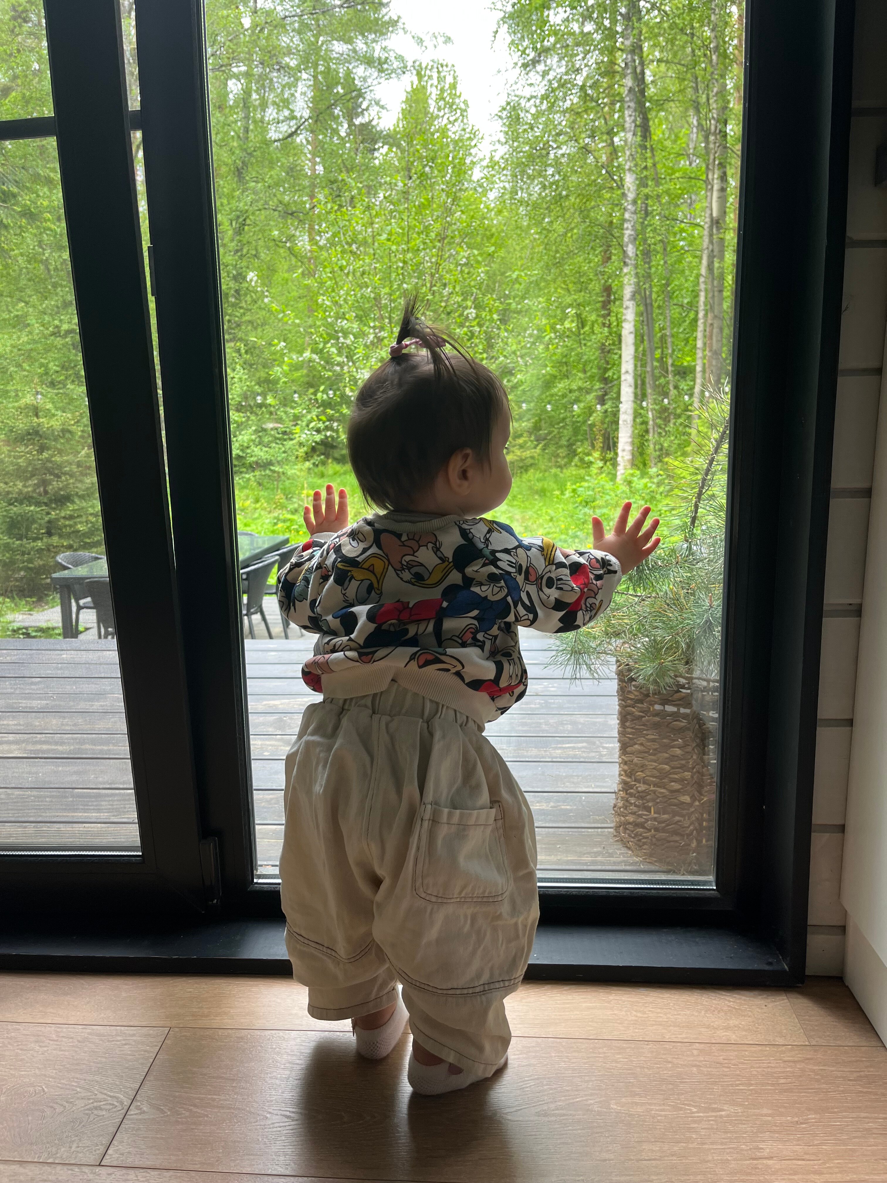 Фото Солнечные дачи