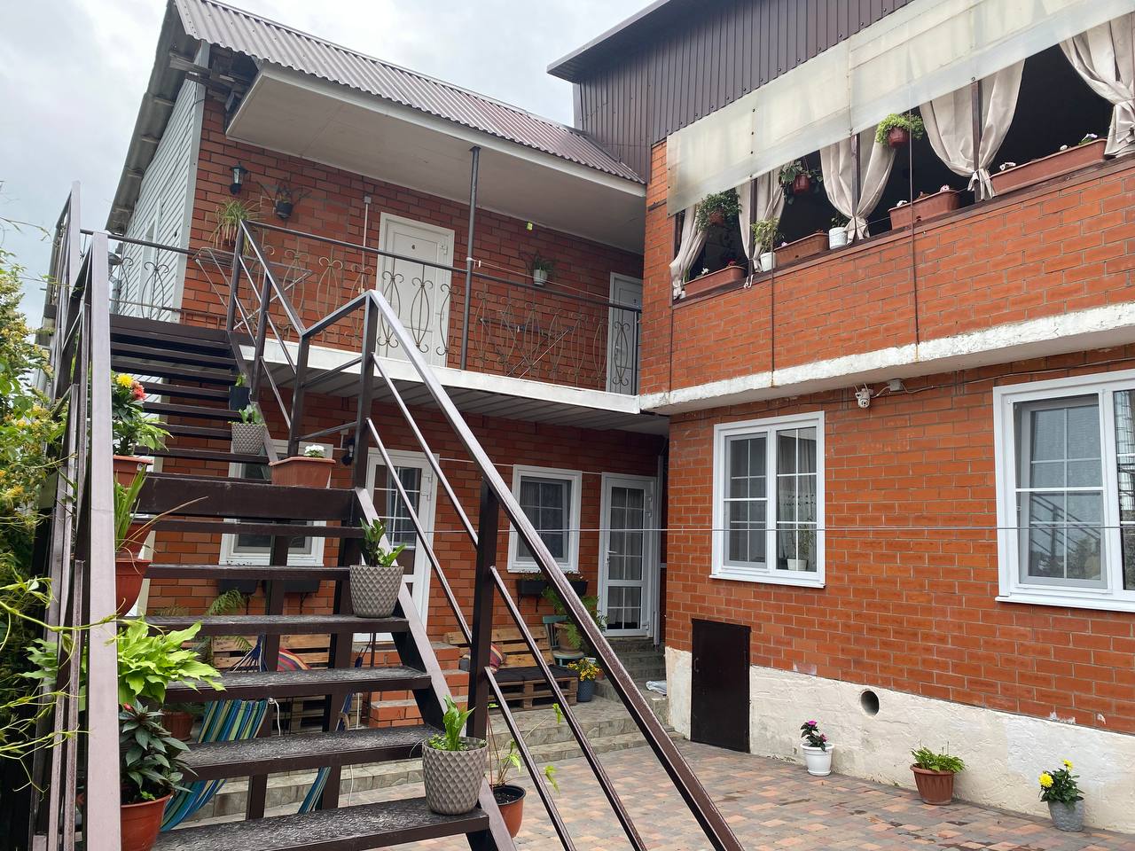 Фото Подсолнух