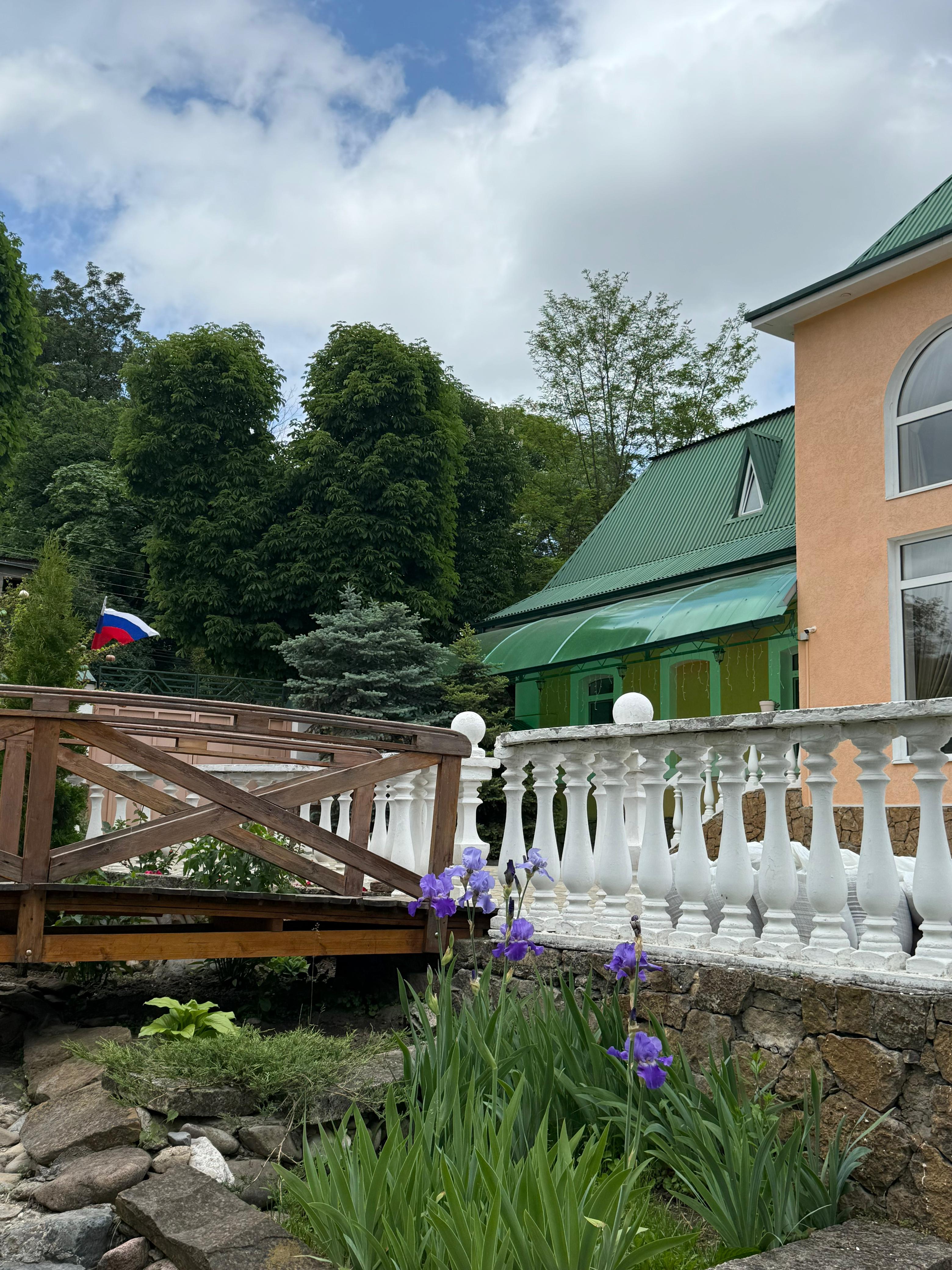 Фото Ласточка