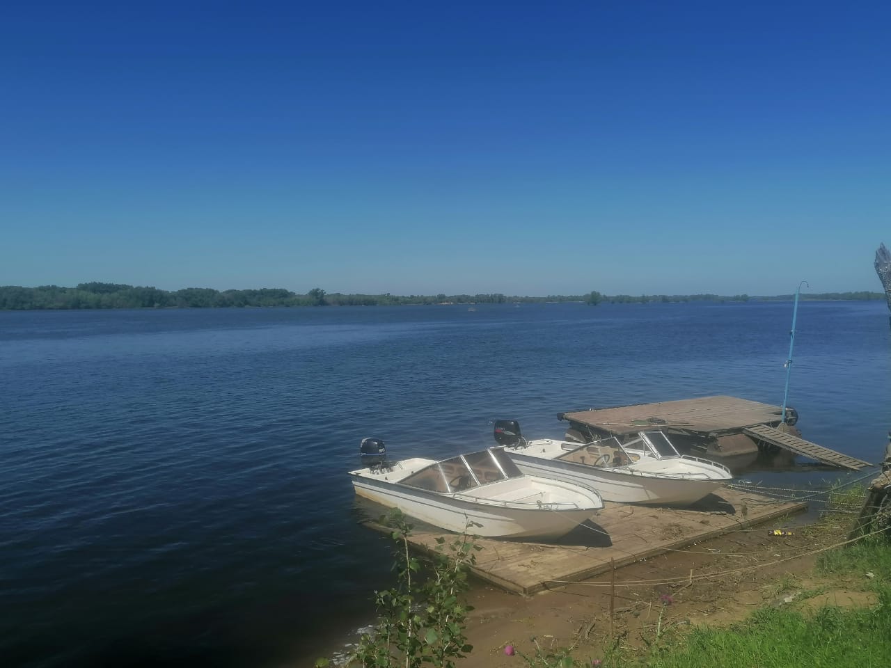 Фото Золотая Дельта