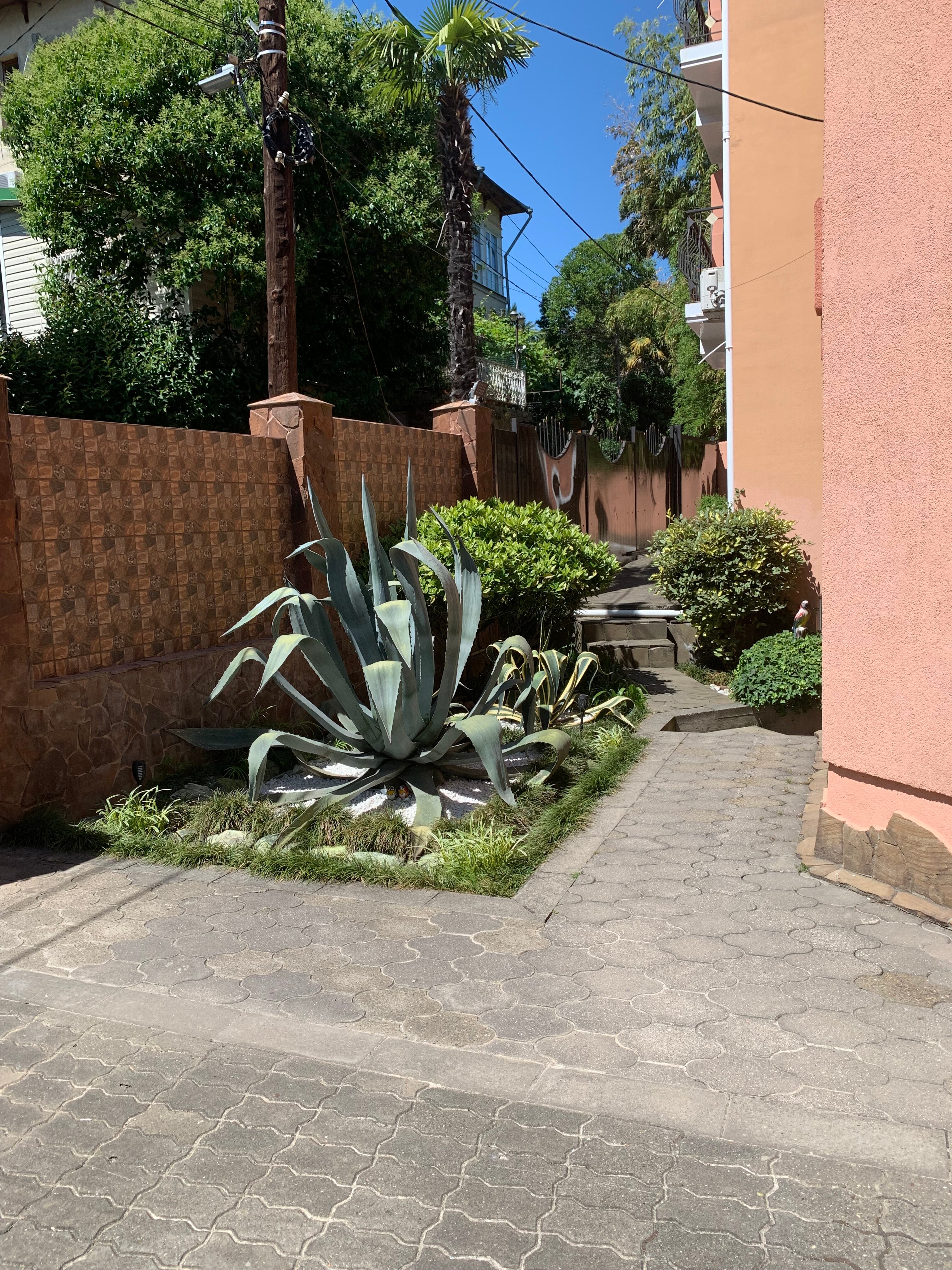 Фото Бамбуковый рай