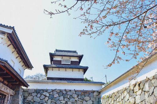Гостиница Fukuoka Guesthouse Hive - Hostel в Фукуоке