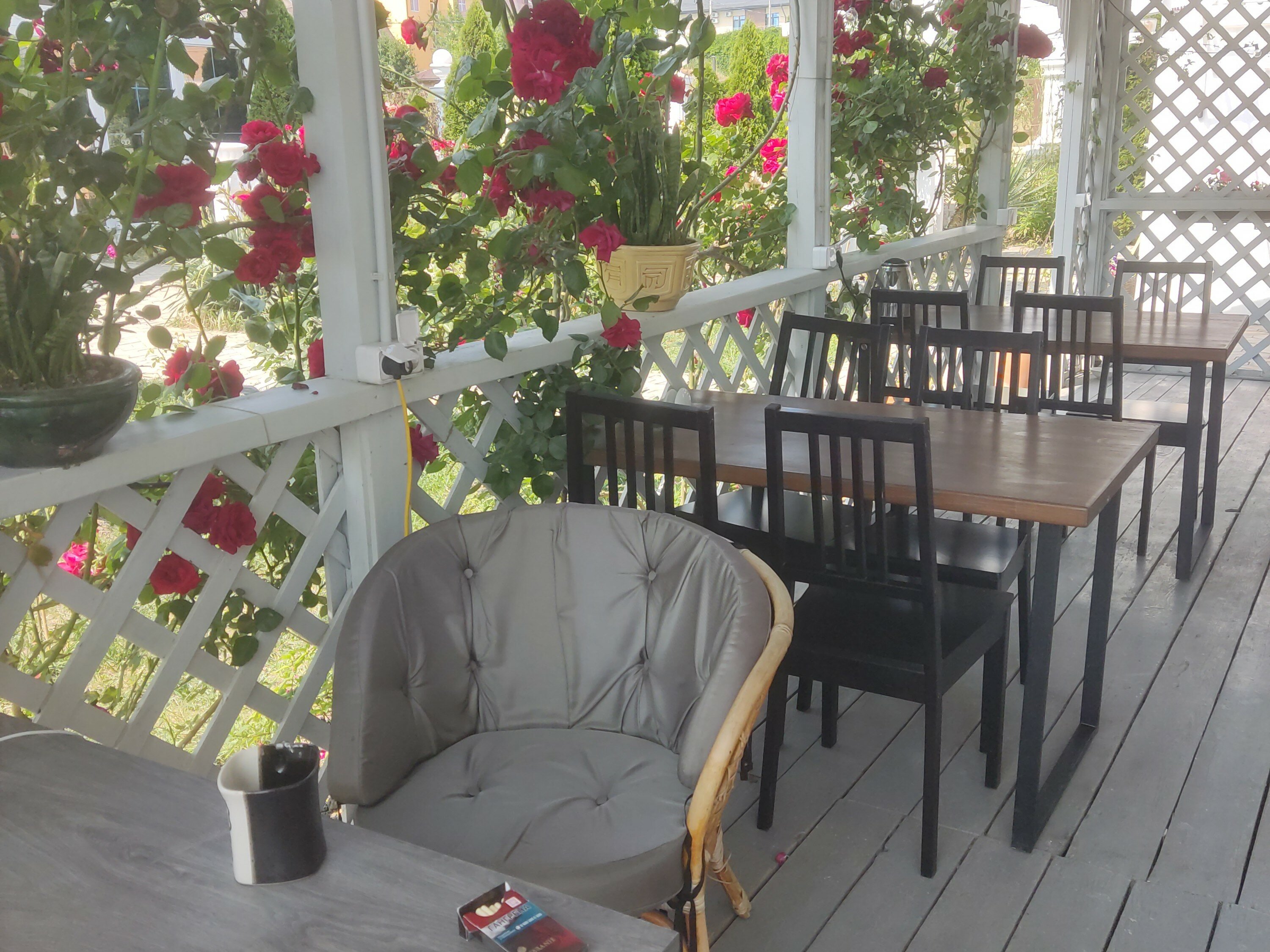 Фото Мореон-Море у нас