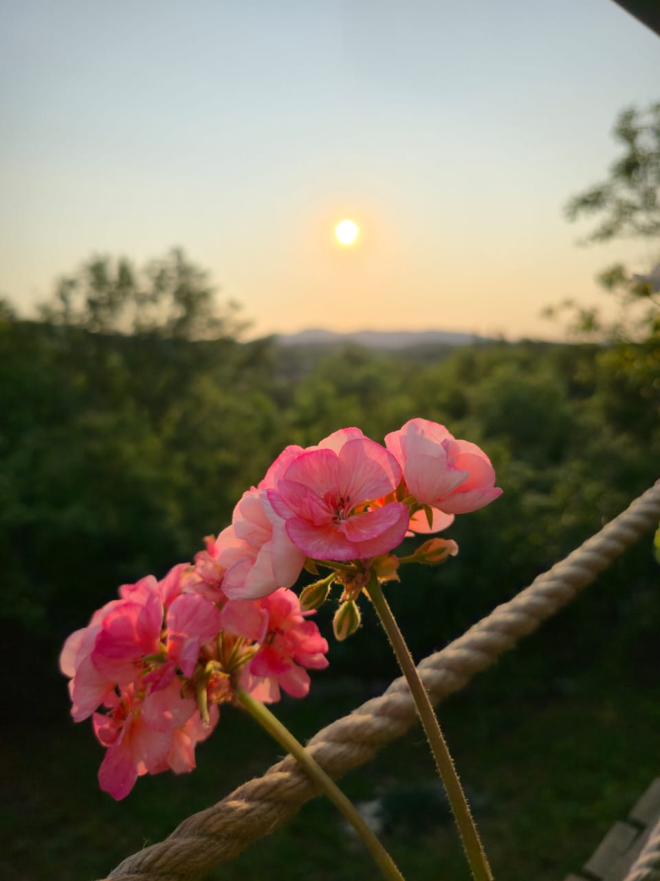 Фото HayalGuestHome