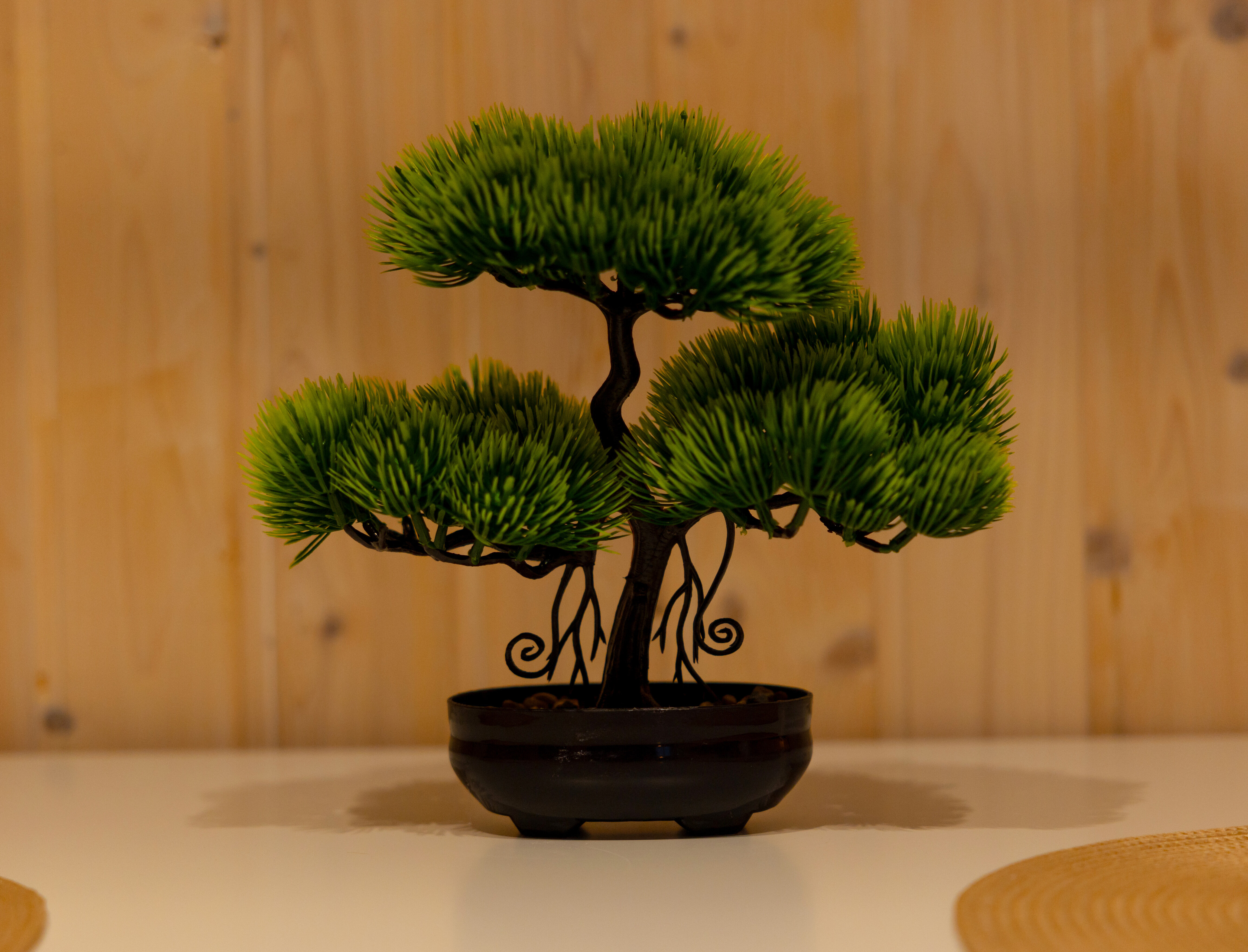 Фото Yantarny Resort