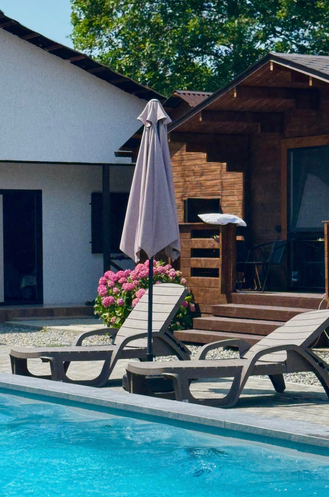 Фото Эвкалипт