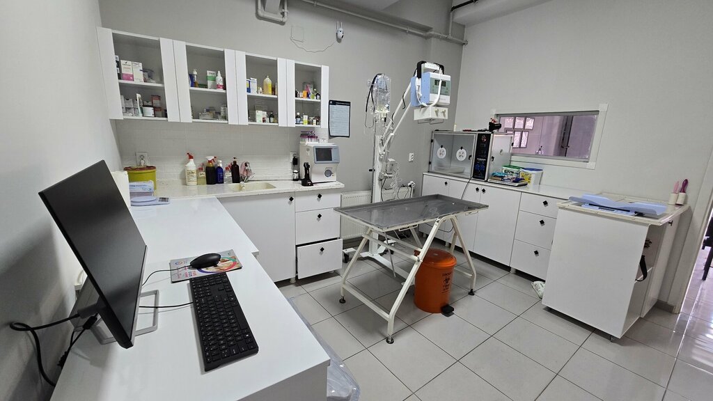 Veterinary clinic Gönen Deva Veterinerlik, Gonen, photo