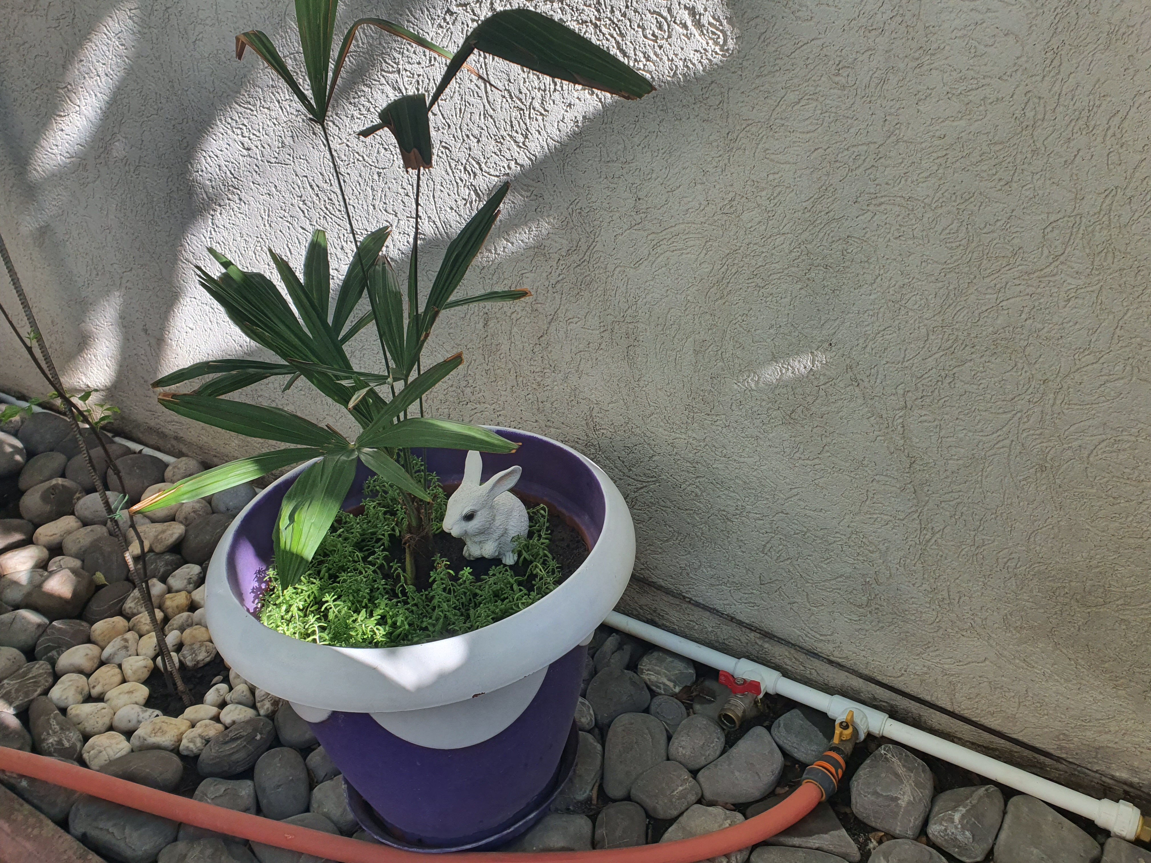 Фото Георич