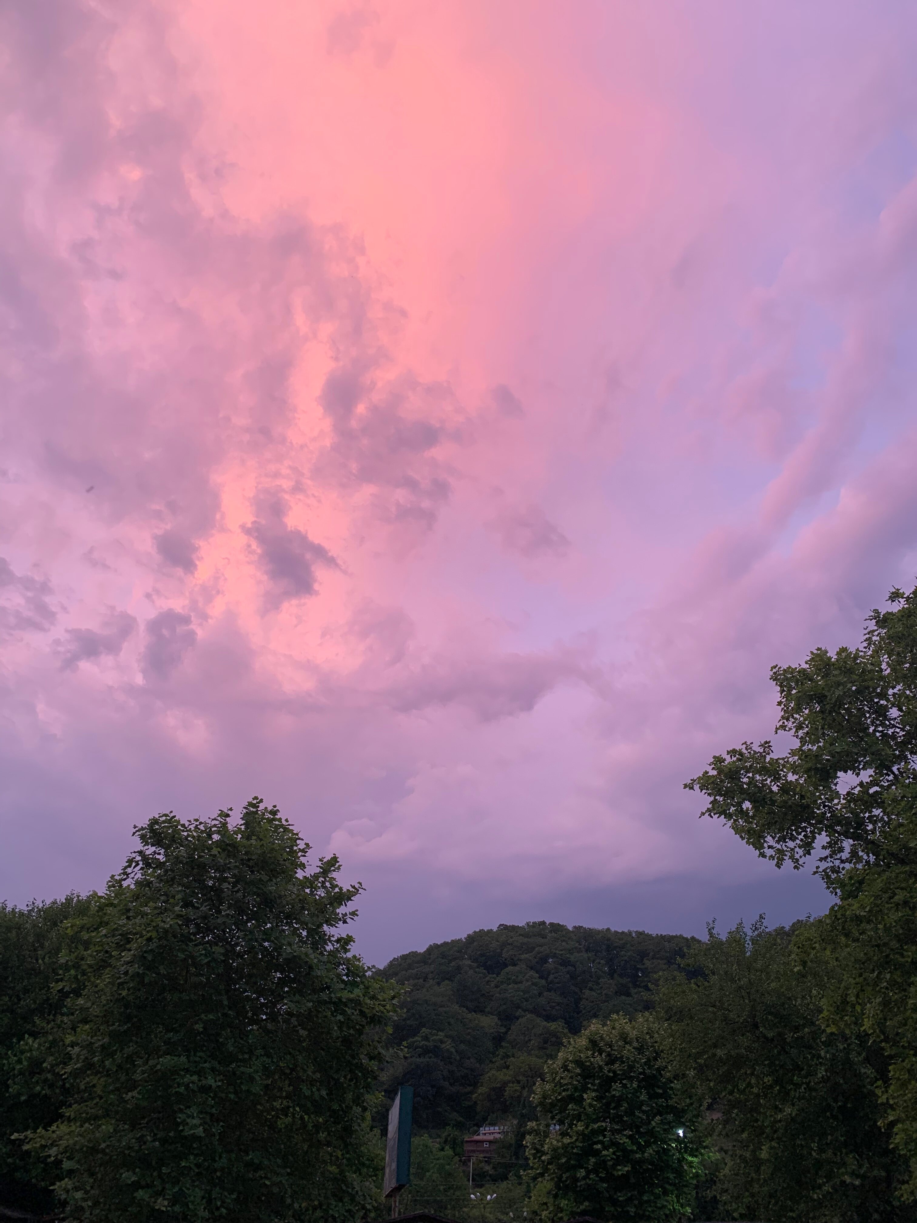 Фото Три Тополя