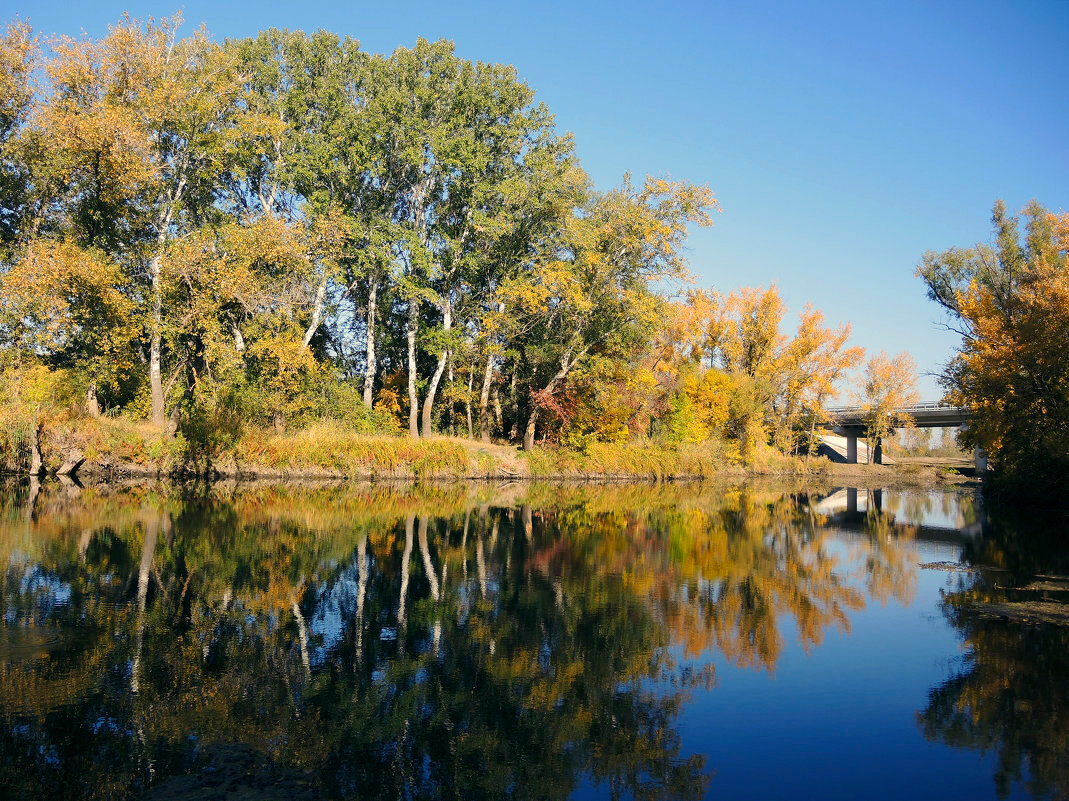 Фото Фазенда
