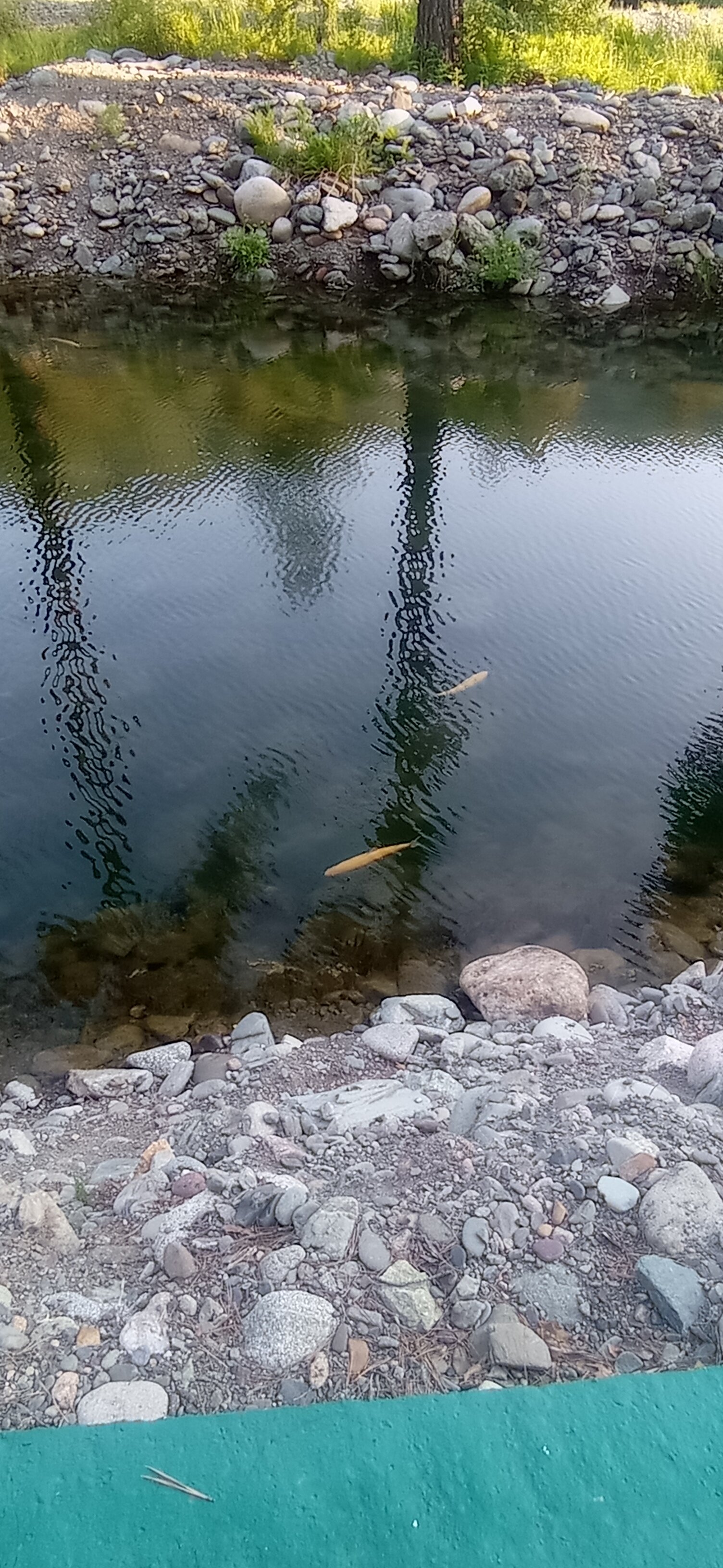 Фото Эко-парк Алтай Грин