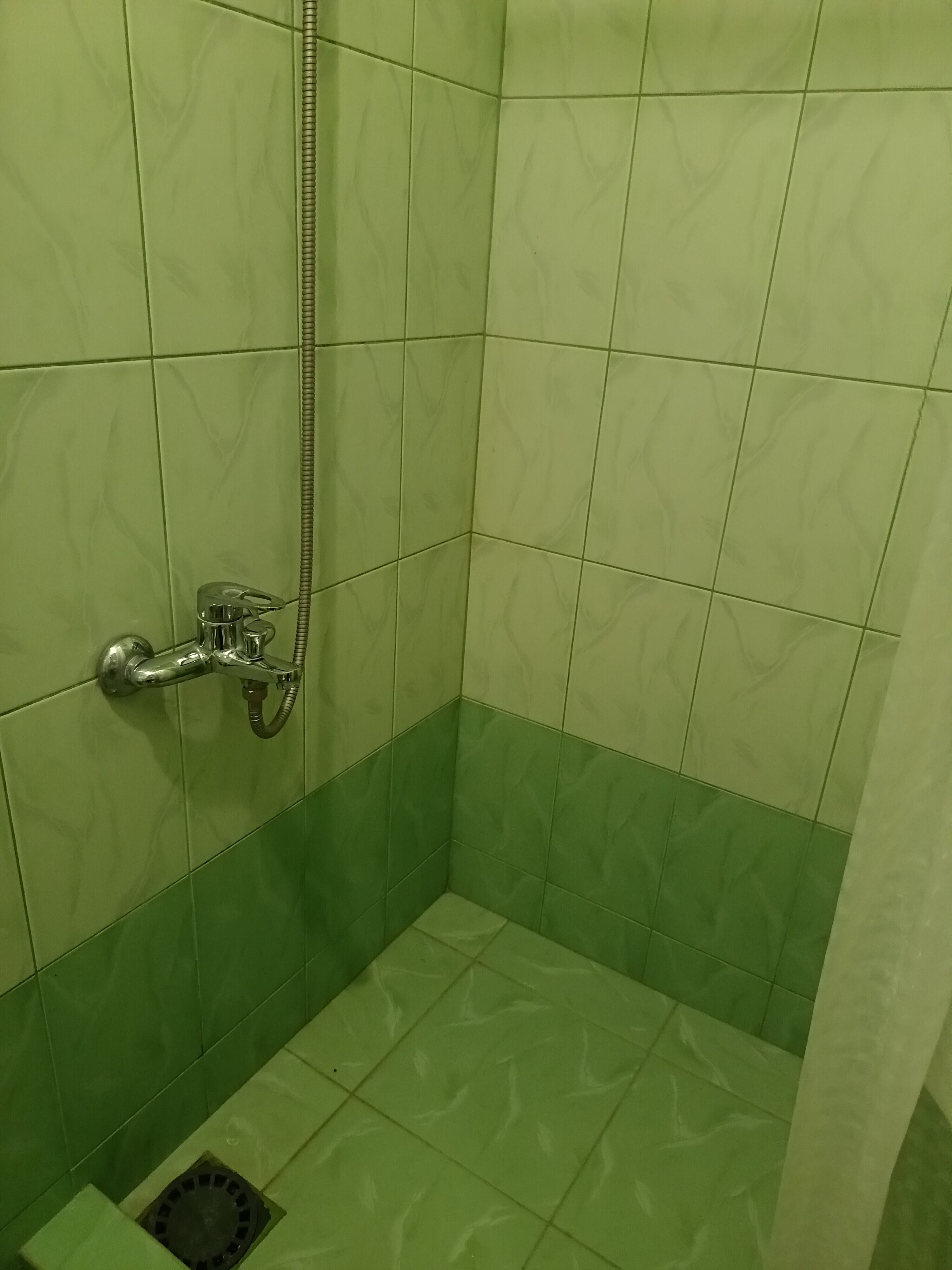 Фото Фортуна