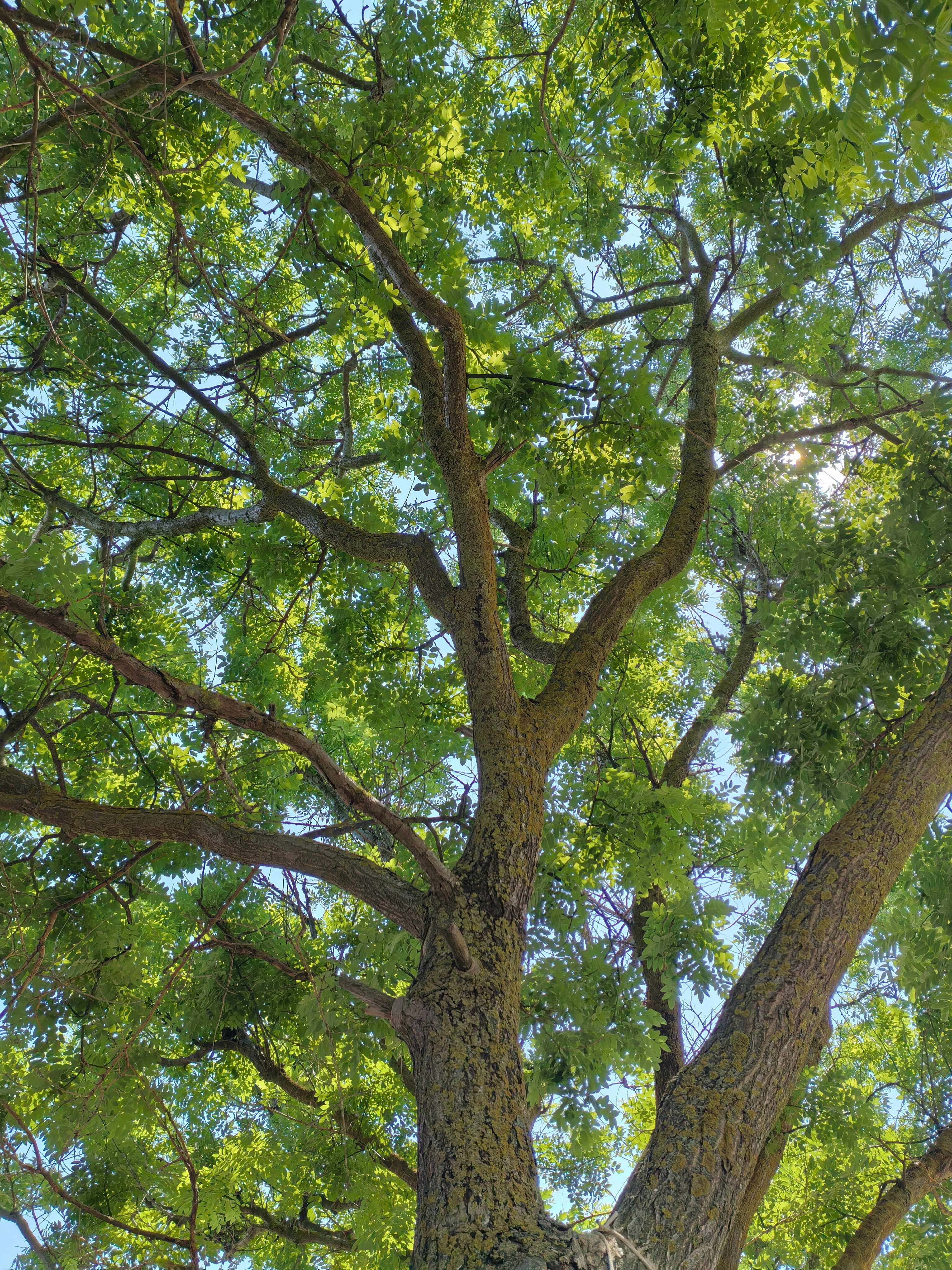 Фото Эллада