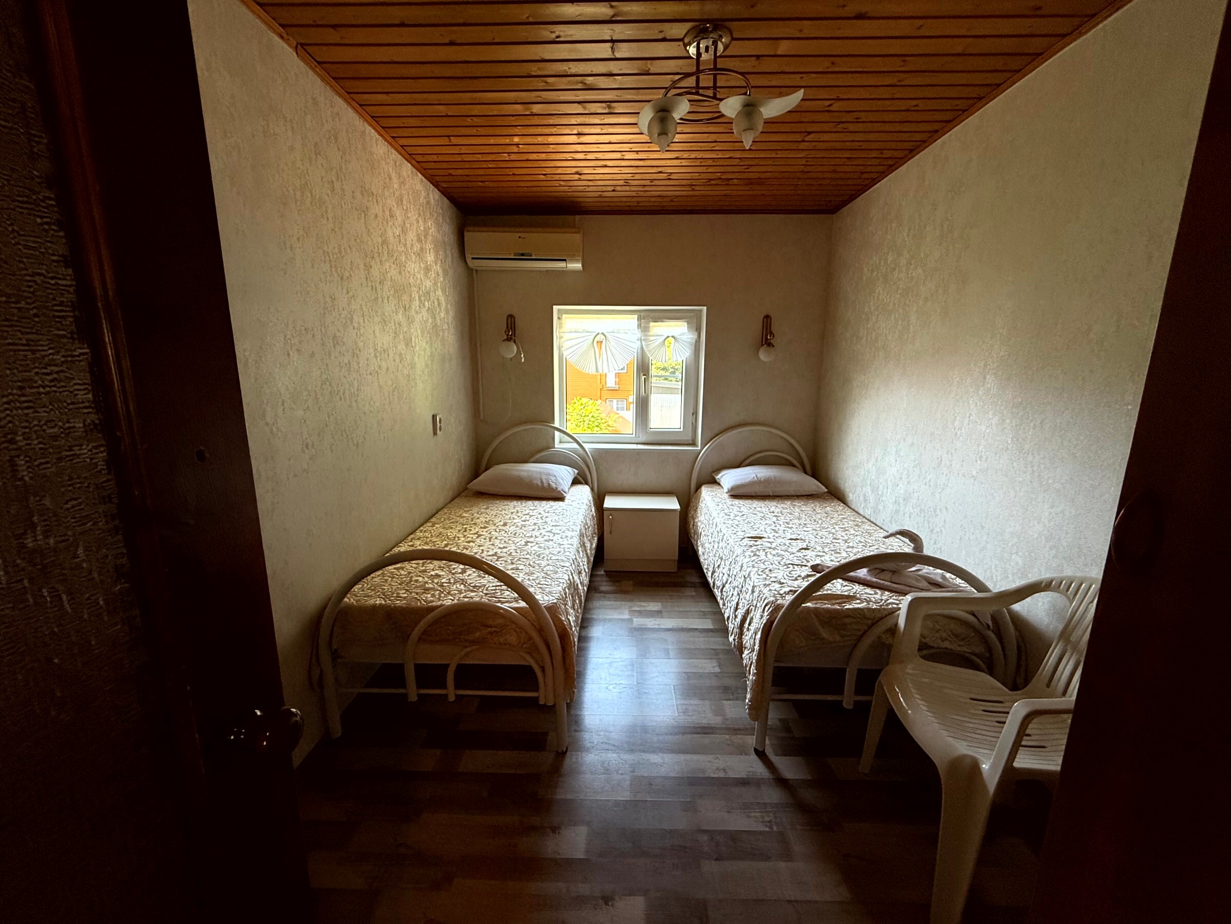 Фото Золотая рыбка