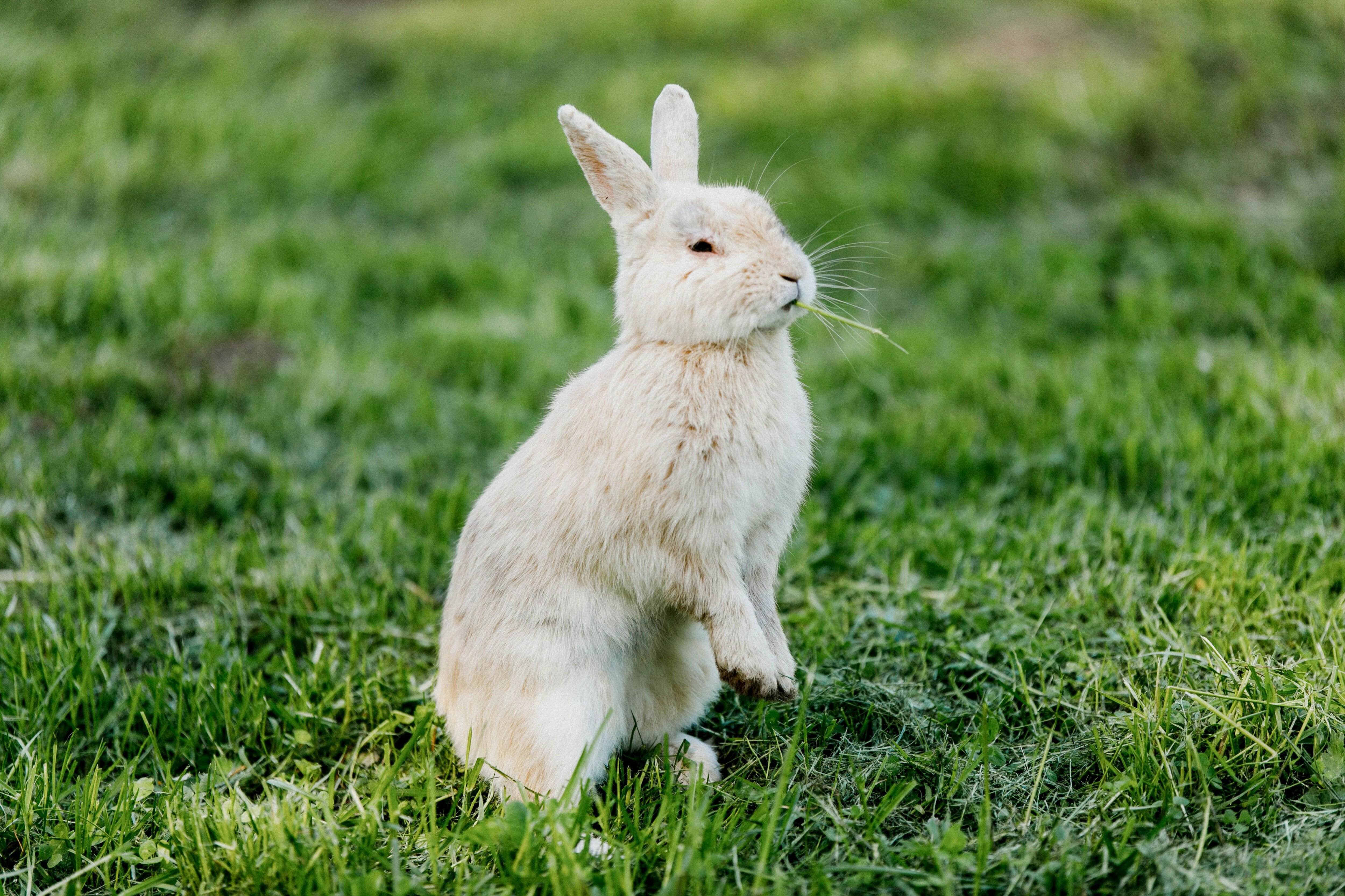 Фото Ямская
