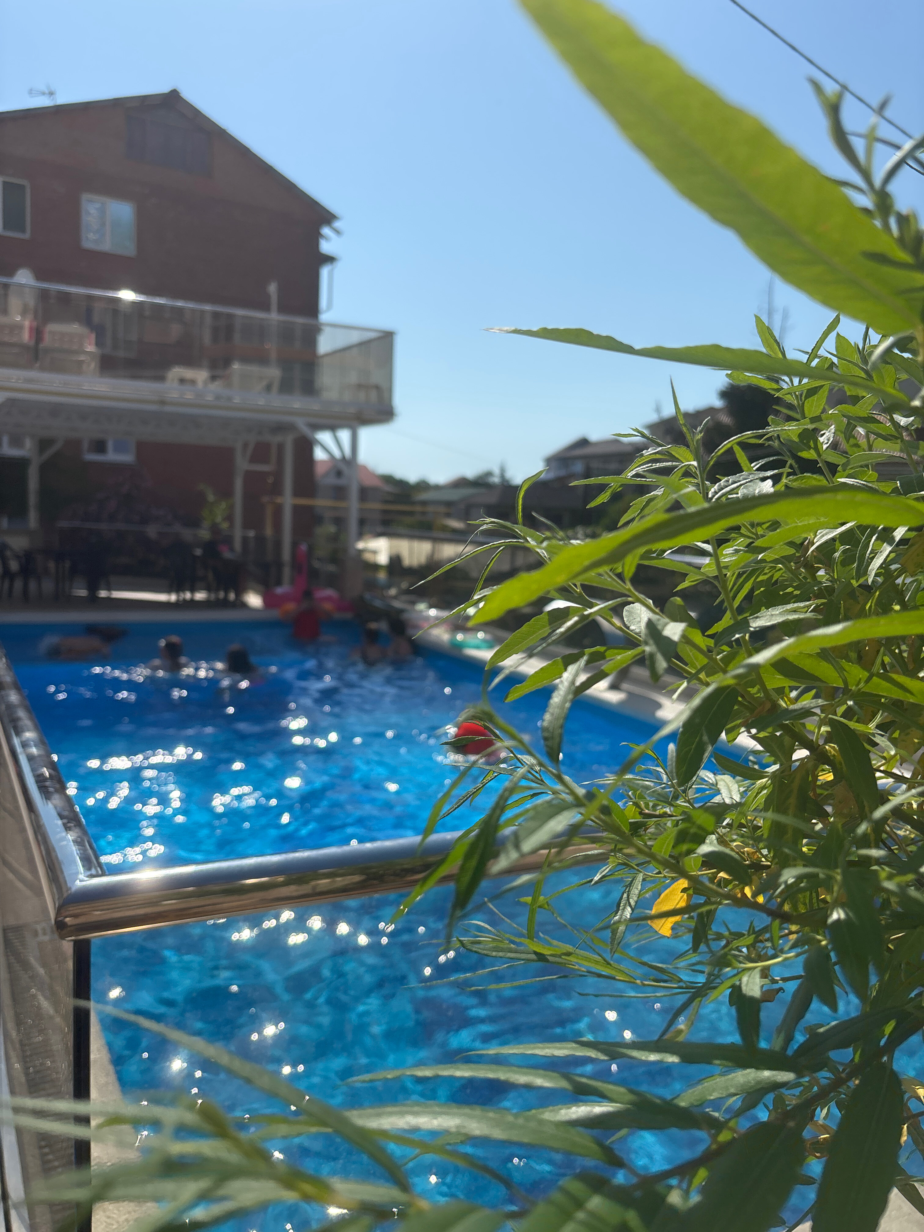 Фото Гармония