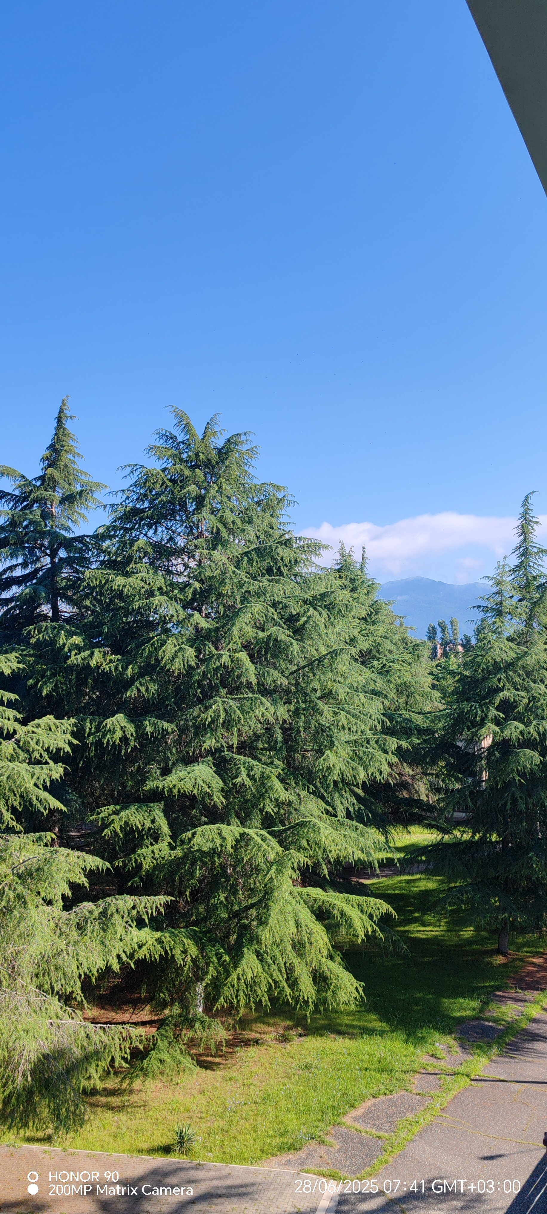 Фото Киараз Старт