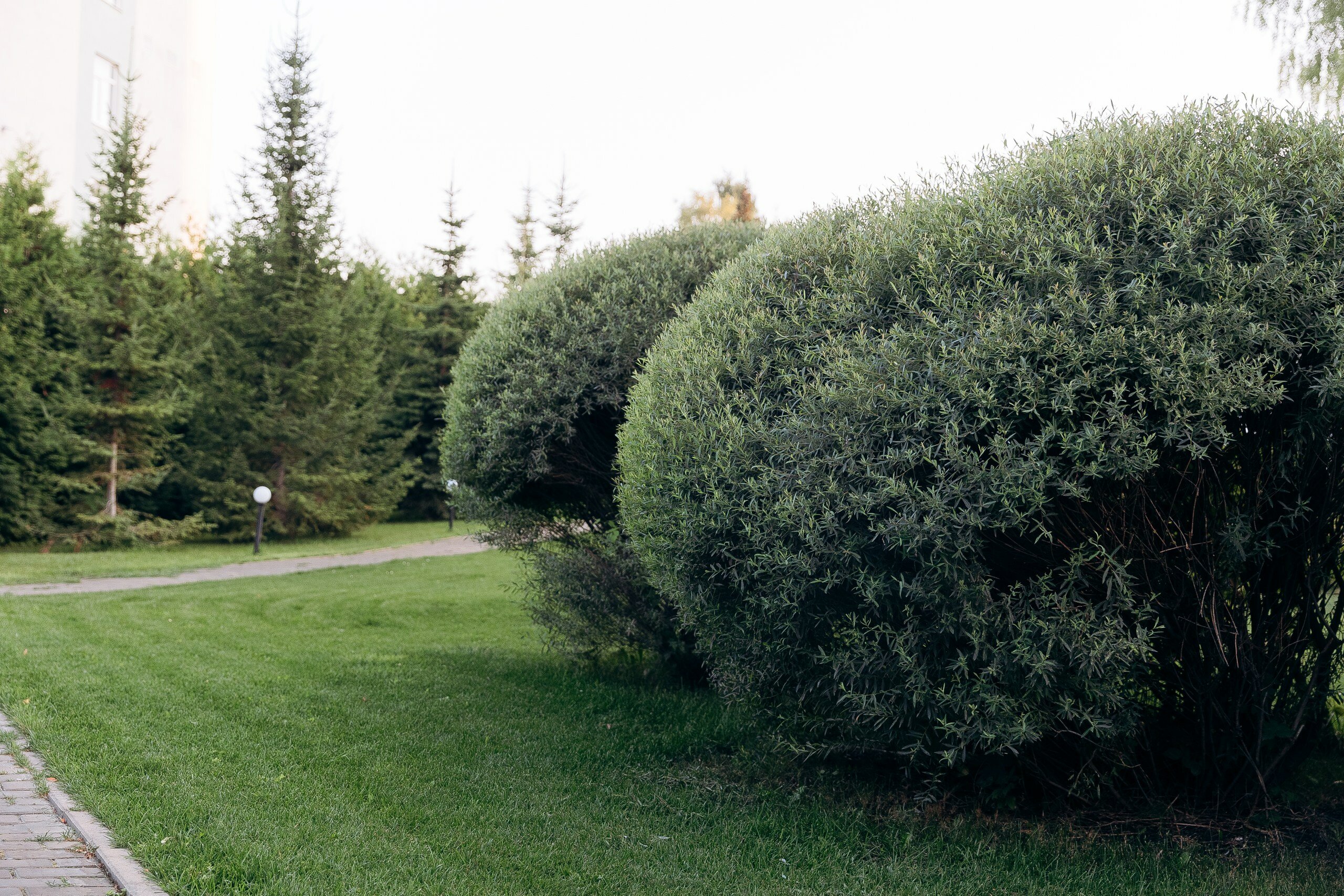 Фото Для Вас