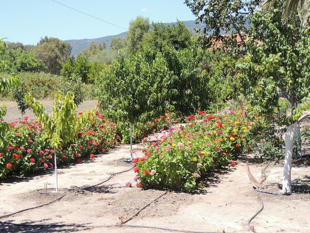 Фото Vicky Studios