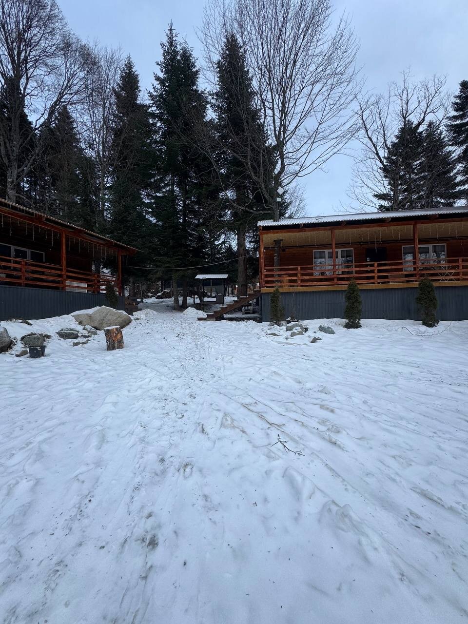 Фото Аргали