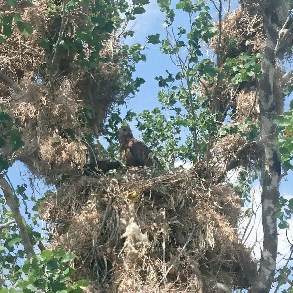 School Akin Middle School, Sereflikochisar, photo
