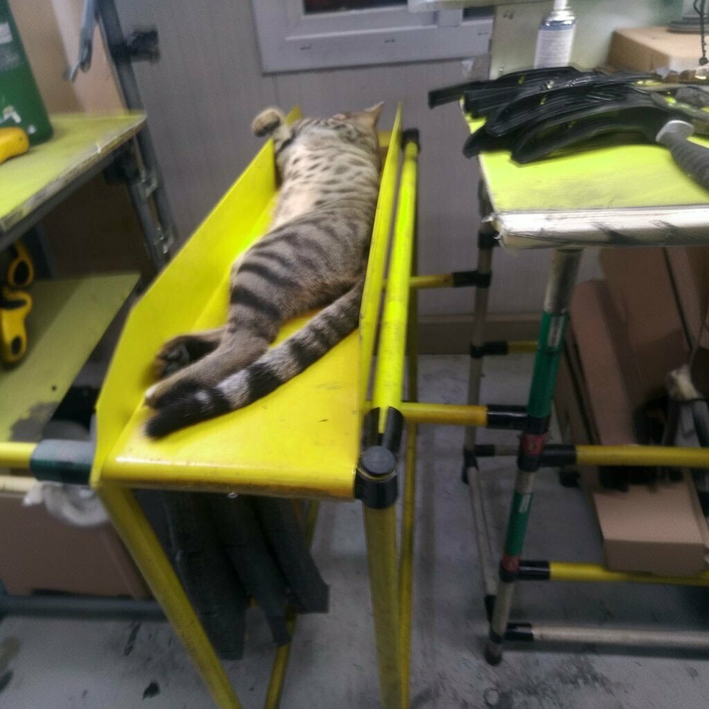 Car factory Standard Profile, Manisa, photo