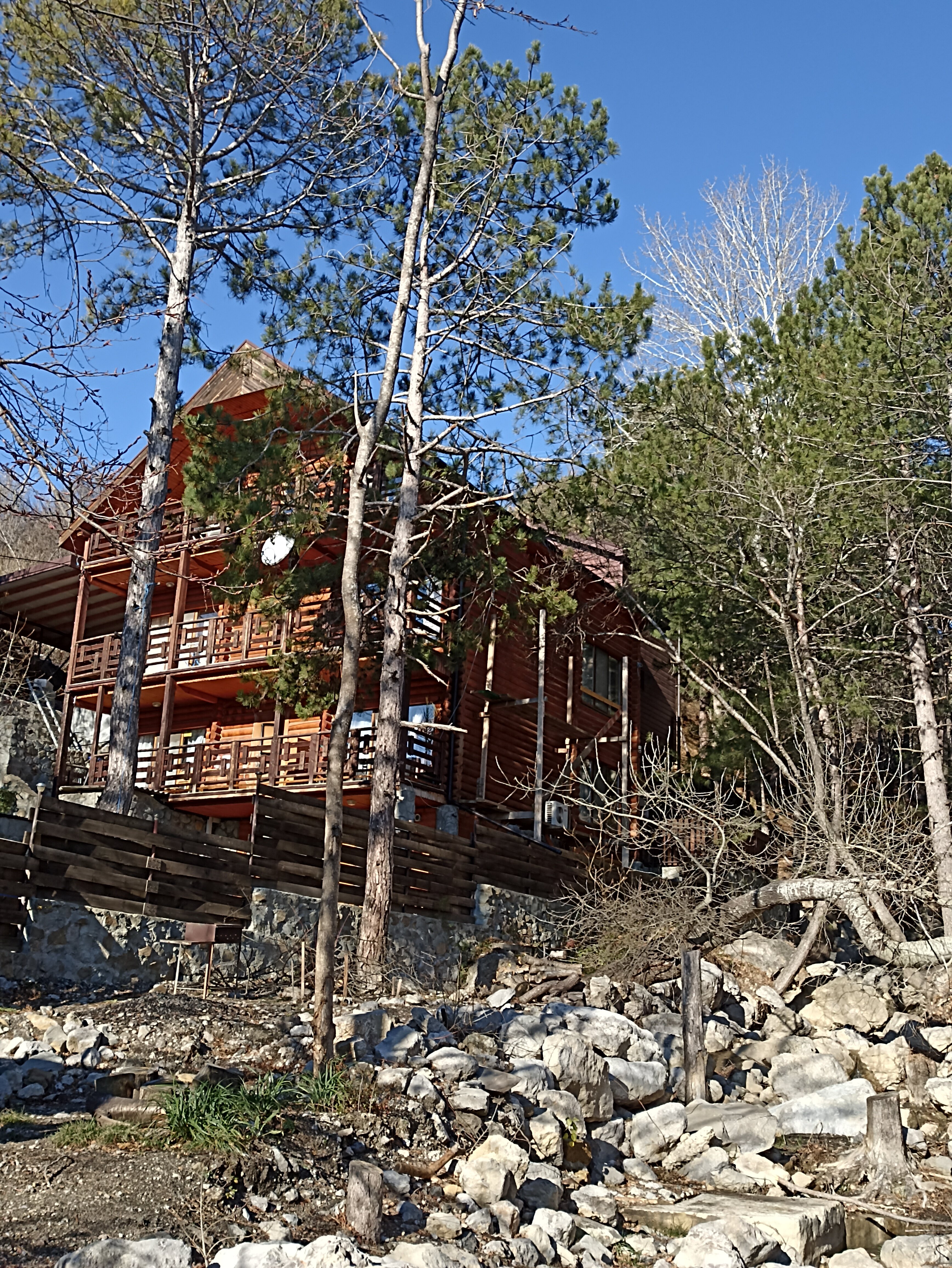 Фото Лесная Сказка