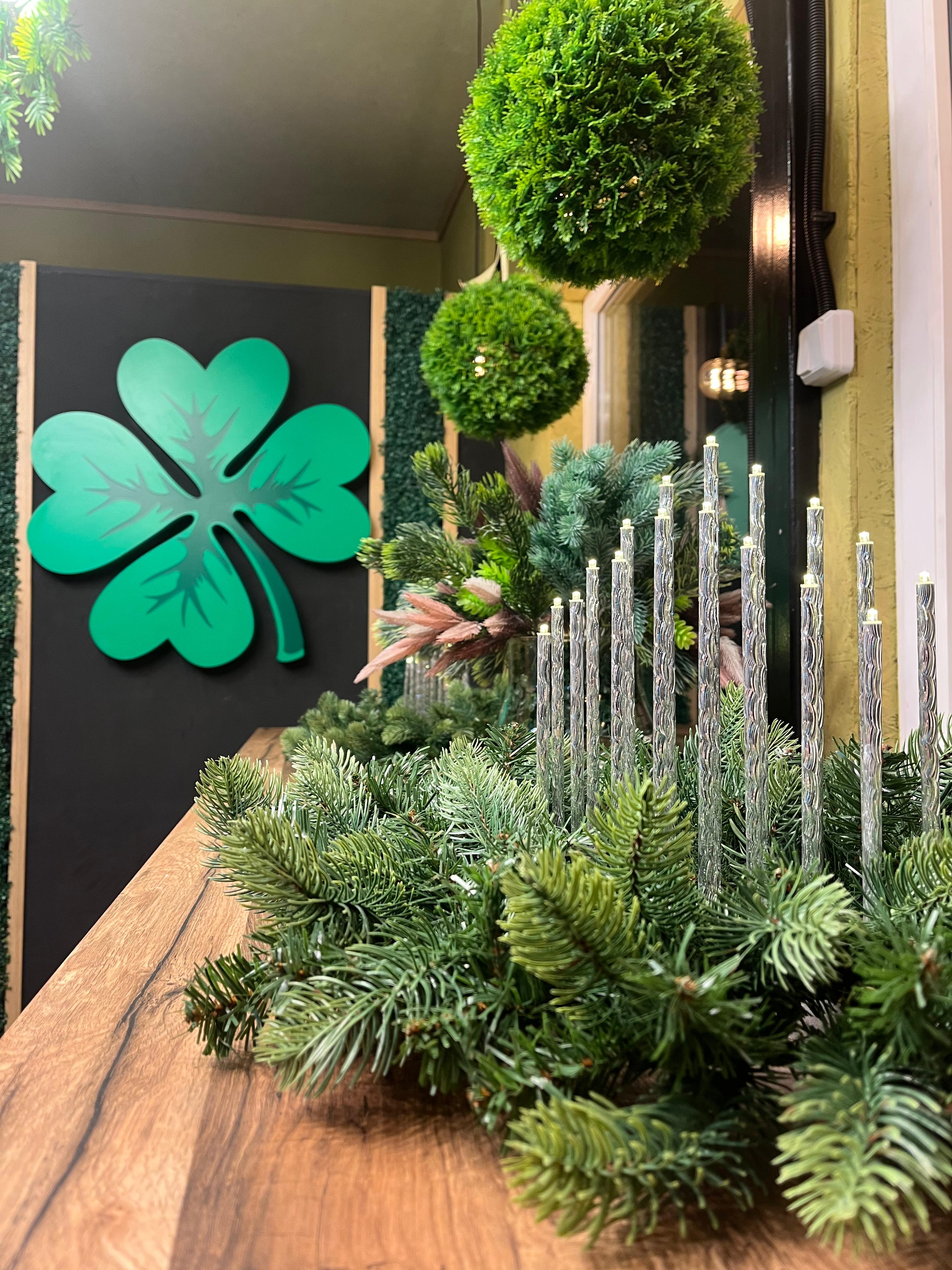 Фото Клевер