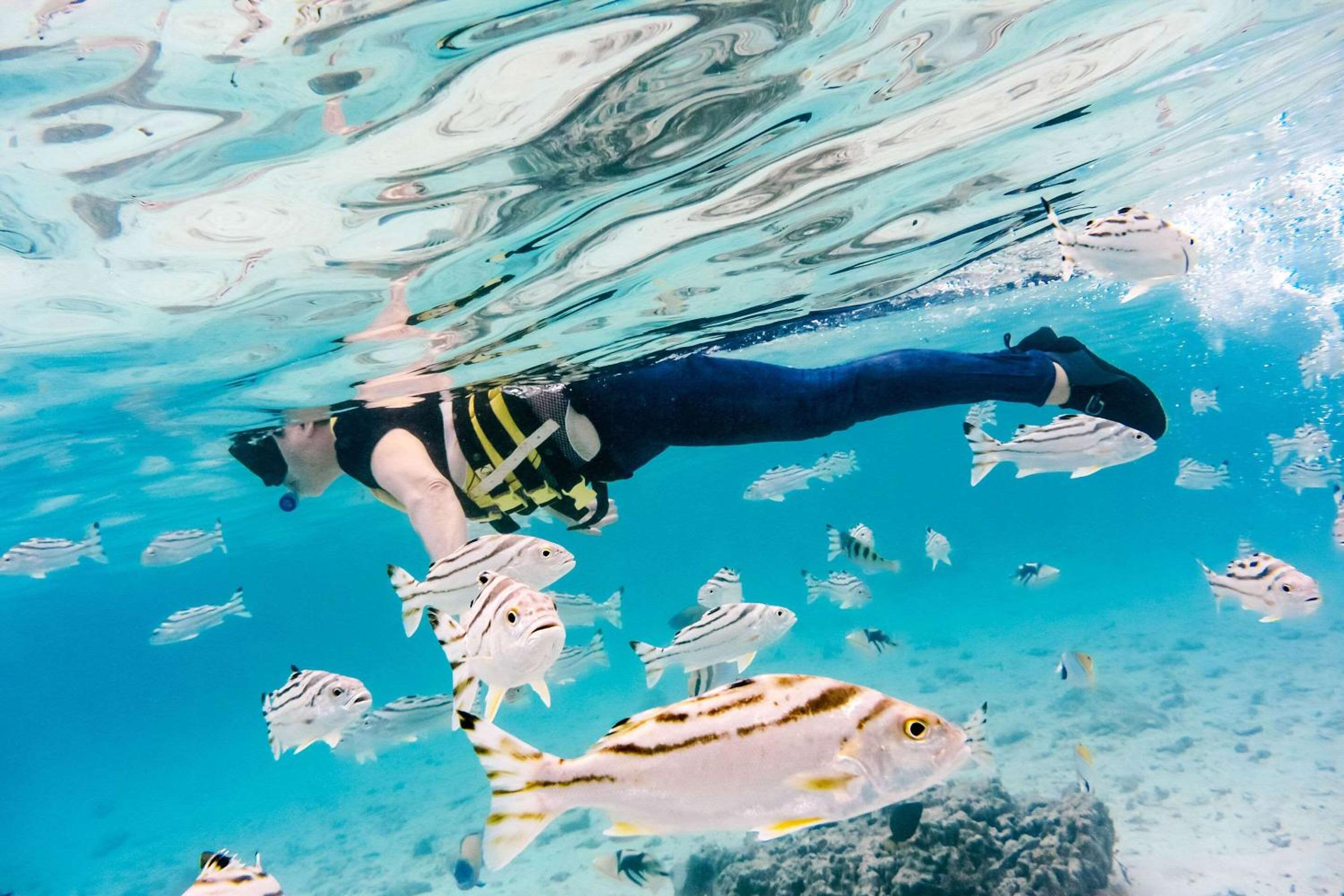 Фото Comfort Inn Naha Tomari Port