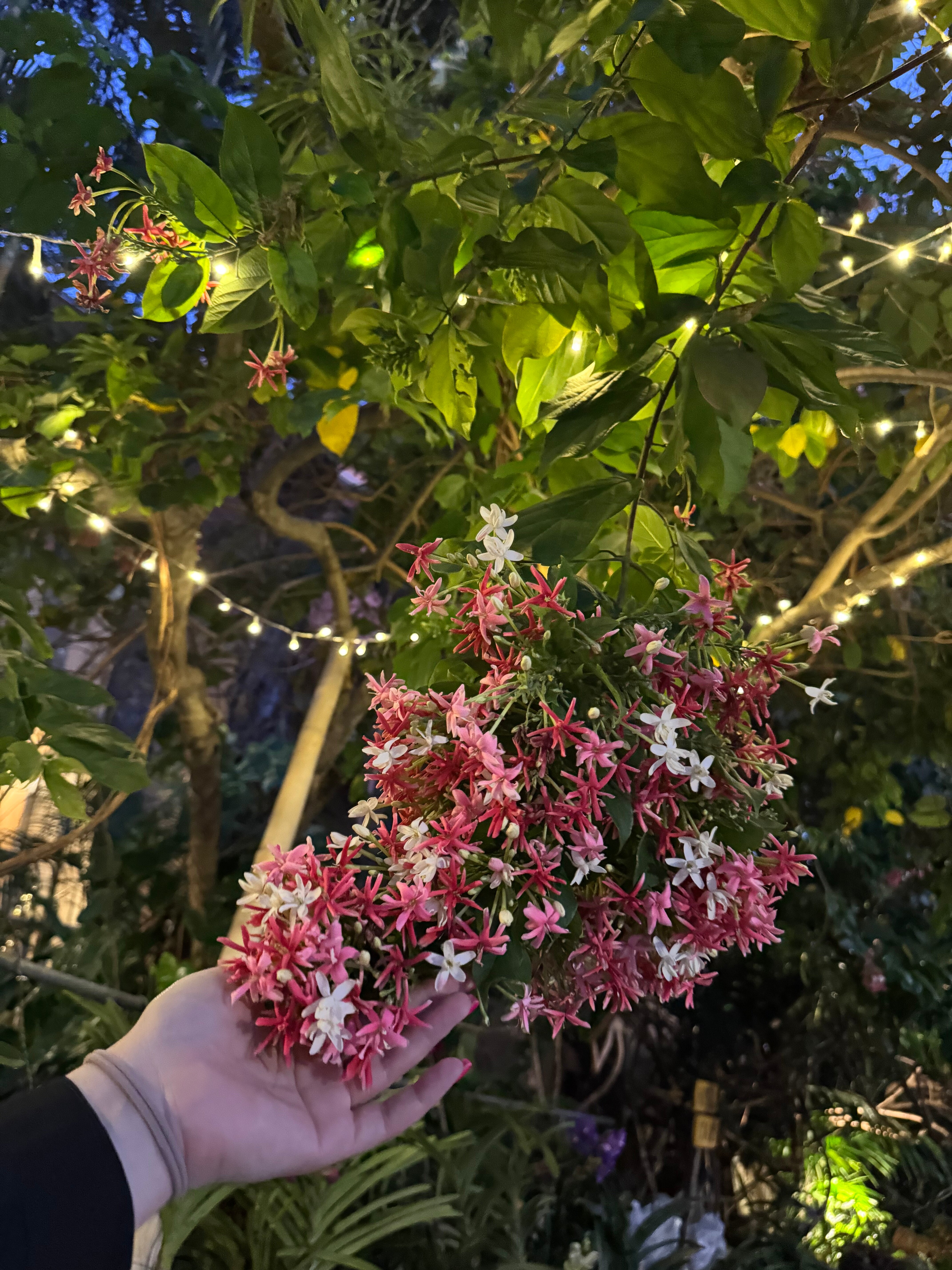 Фото Anantasila Beach Resort Hua Hin