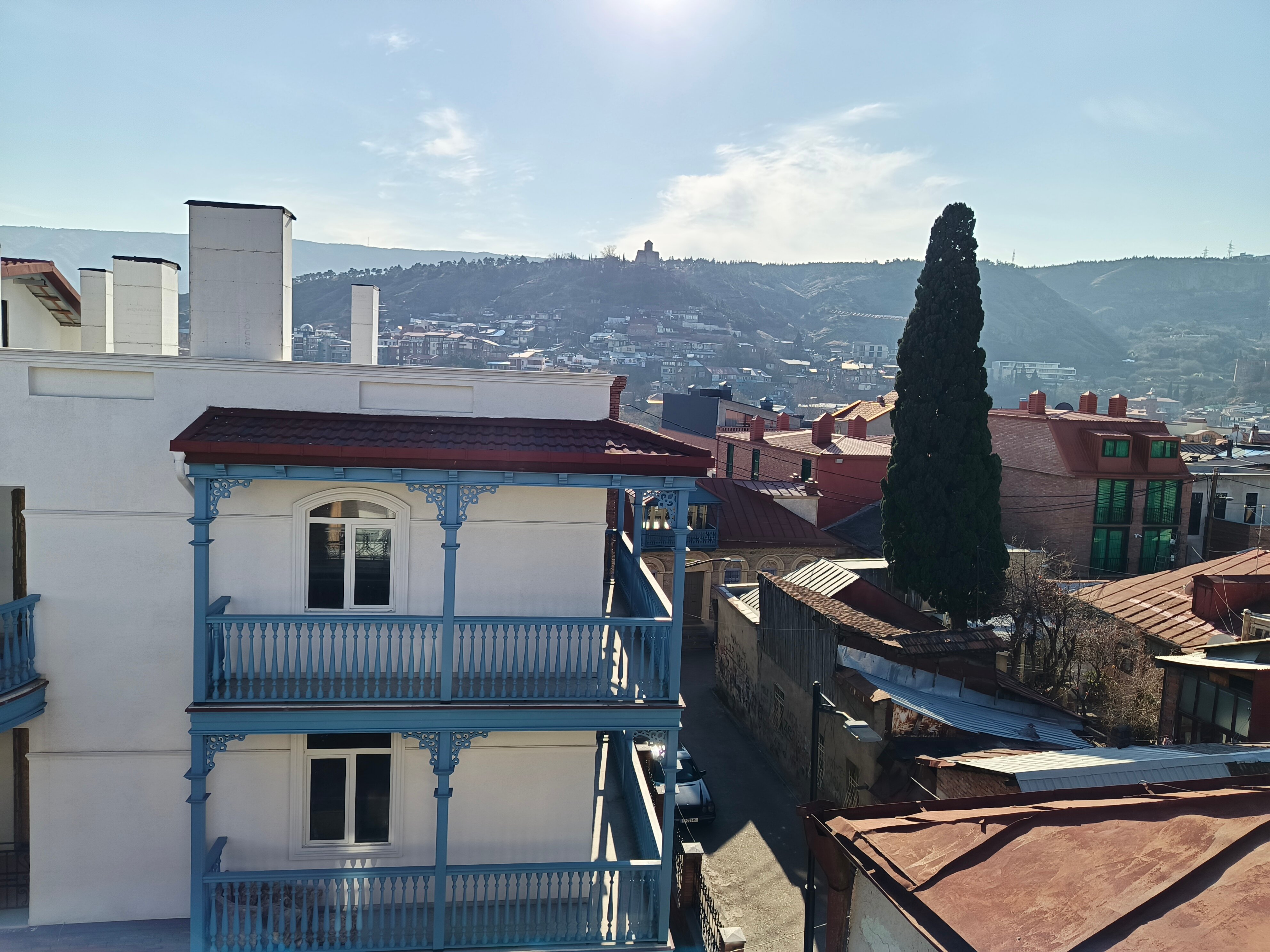 Фото Фламинго