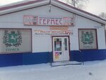 Germes (Vokzalnaya Street, 63Г), grocery