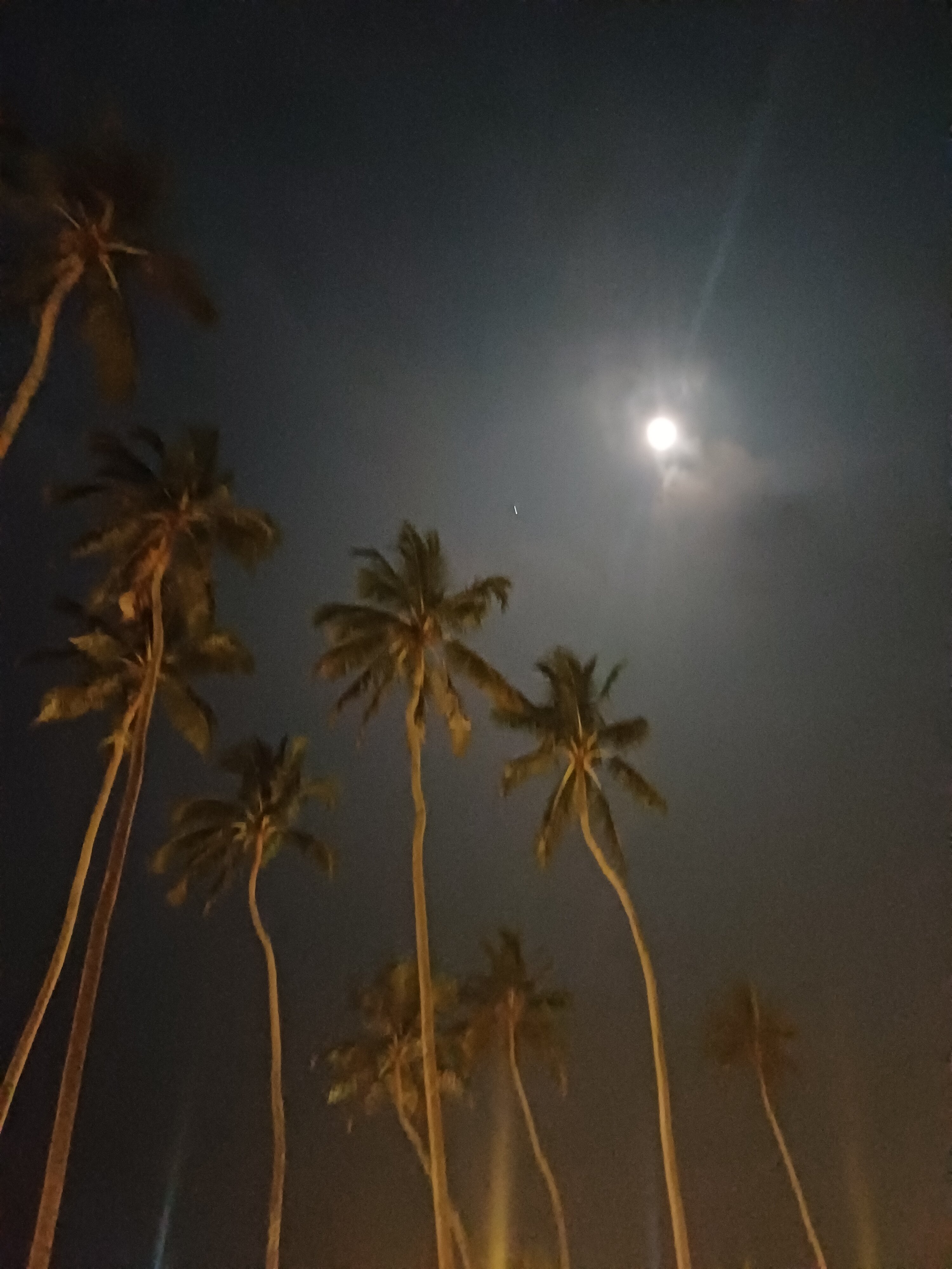 Фото Grand Beach