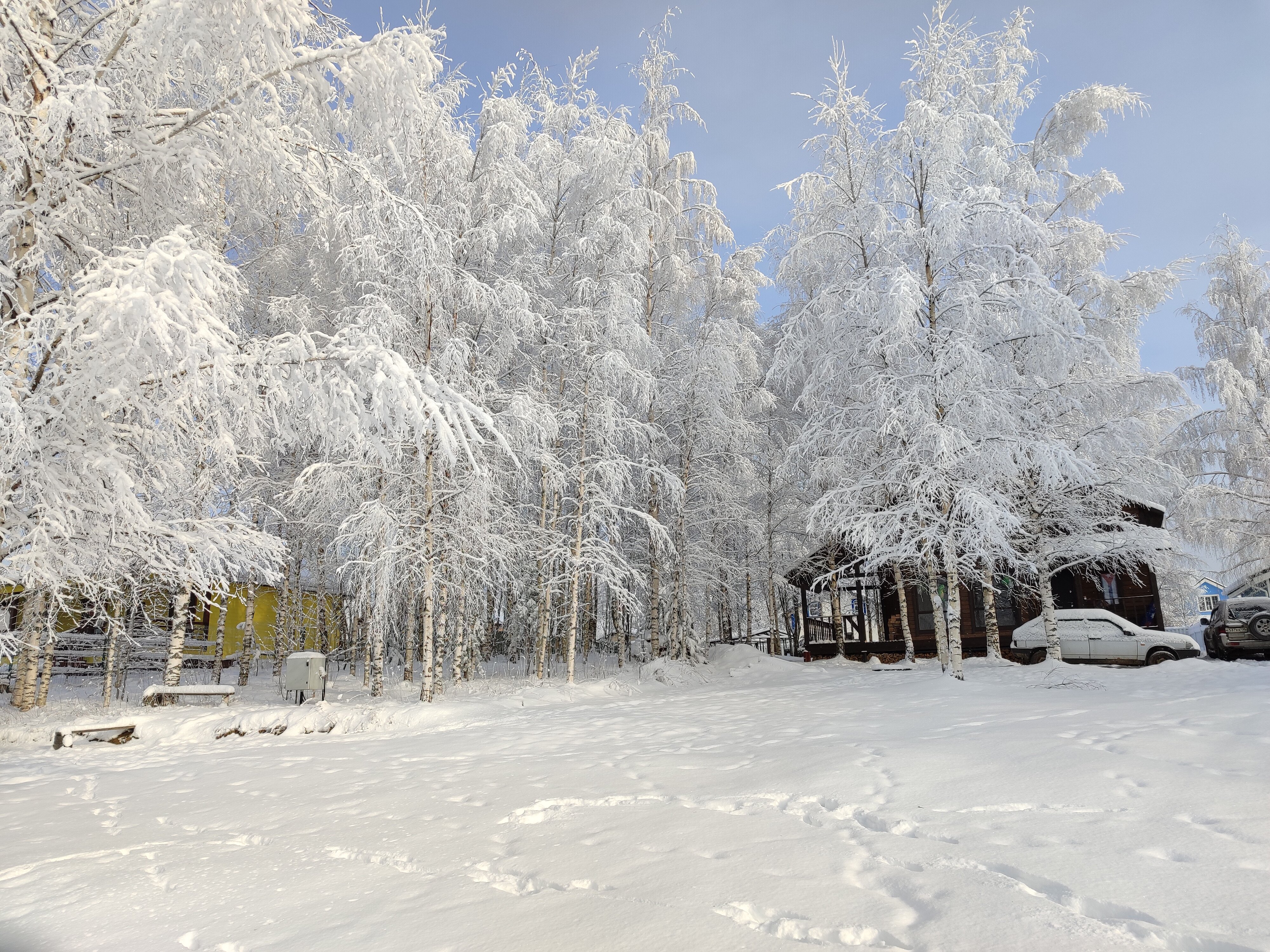 Фото Совенок