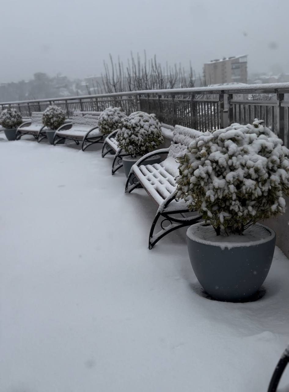 Фото Династия