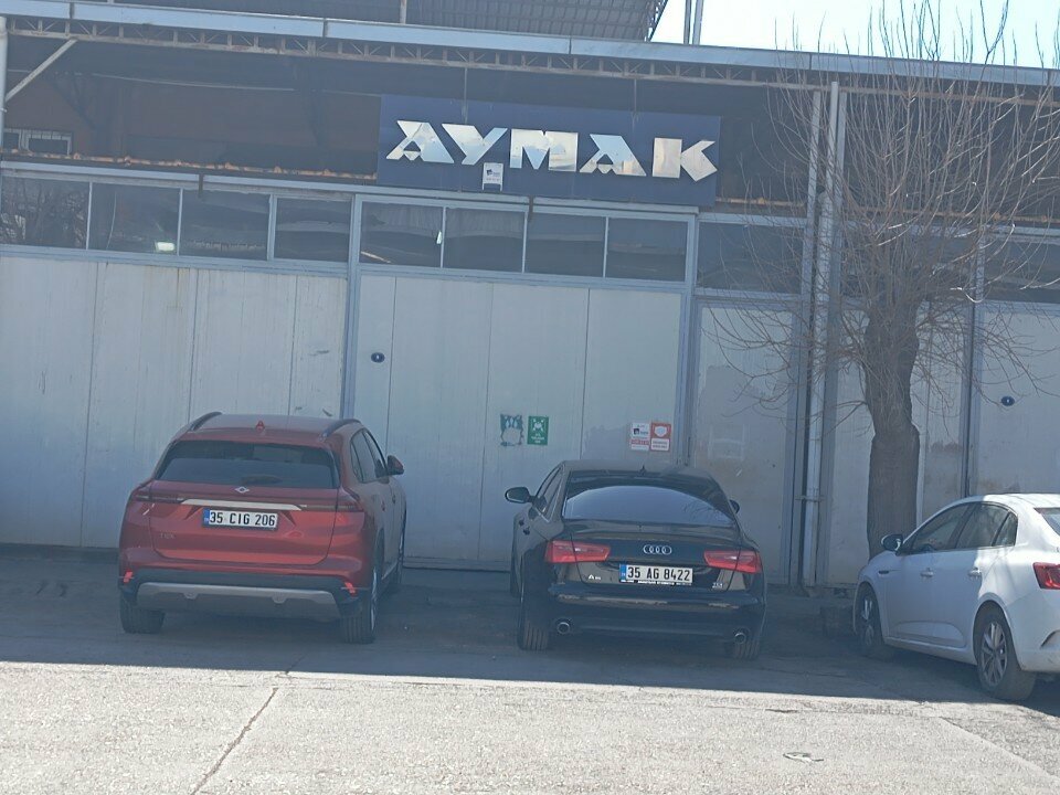 Industrial enterprise Aymak Oto, Izmir, photo